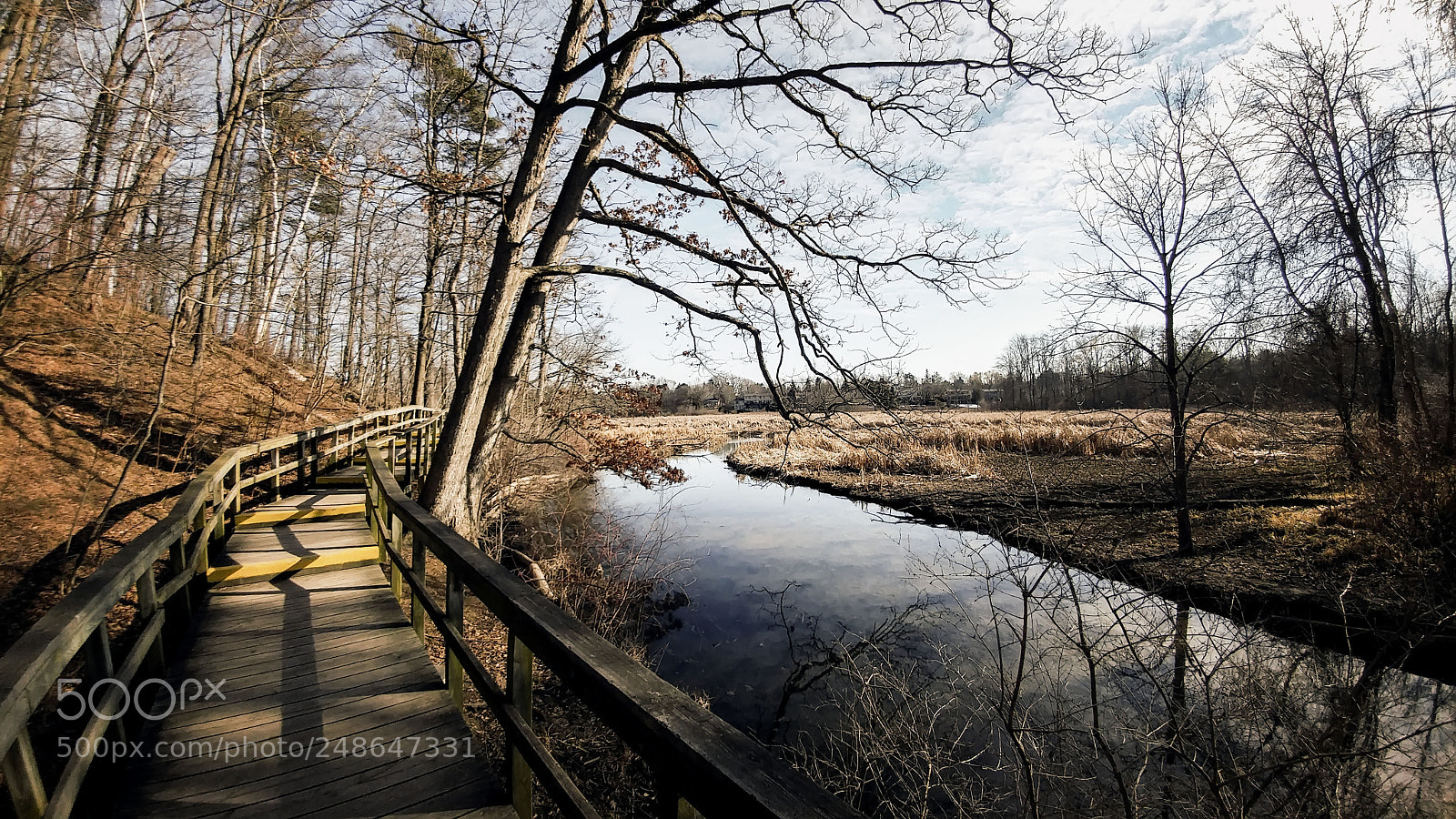 LG G5 sample photo. Rattray marsh photography