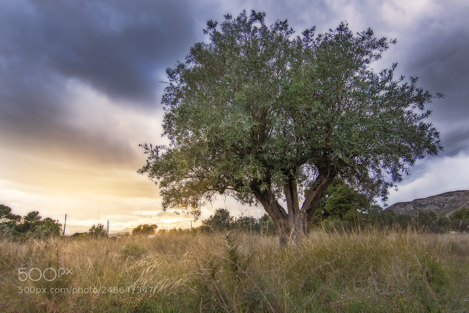 Canon EOS 700D (EOS Rebel T5i / EOS Kiss X7i) sample photo. Remembering andalucía photography