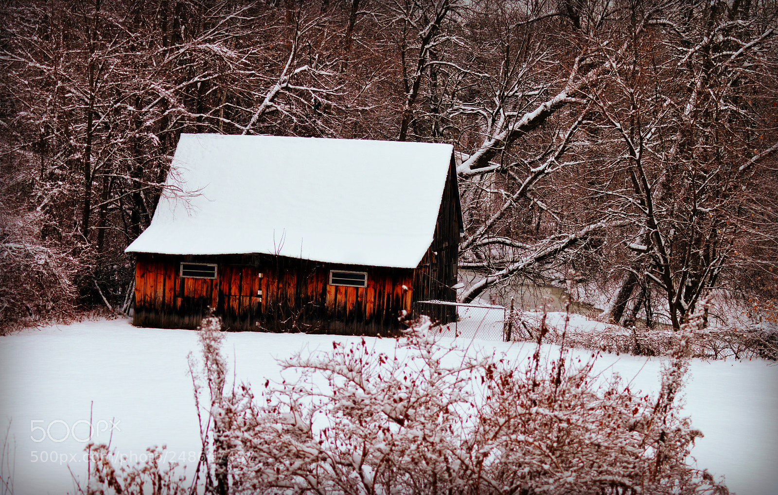 Nikon D3200 sample photo. Winter slumber photography