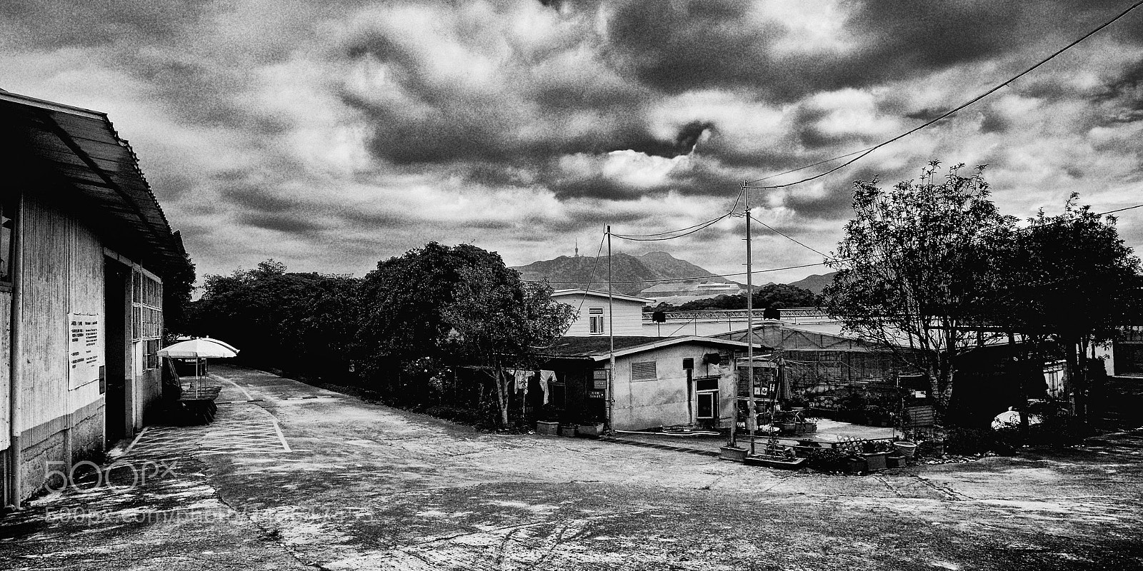 Fujifilm X-T10 sample photo. Zen organic farm photography
