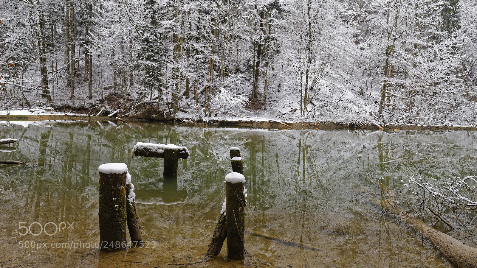 Sony a7 II sample photo. Weissbachtobel photography