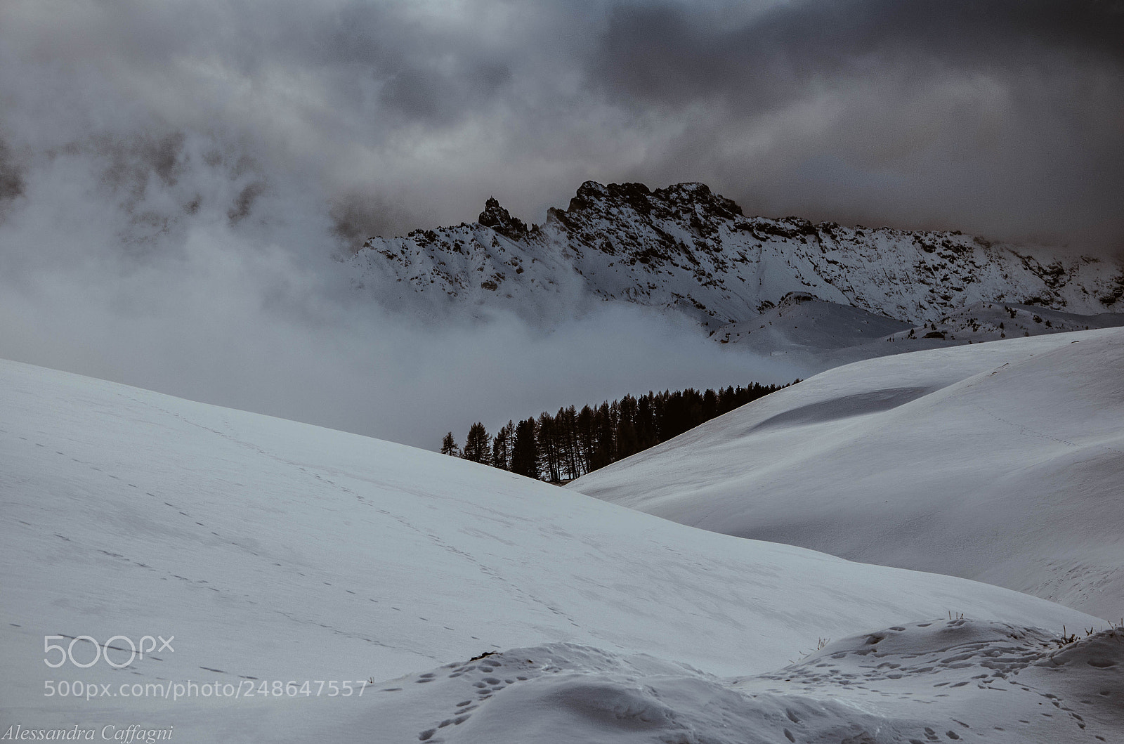 Nikon D5100 sample photo. Seiser alm...in the fog photography