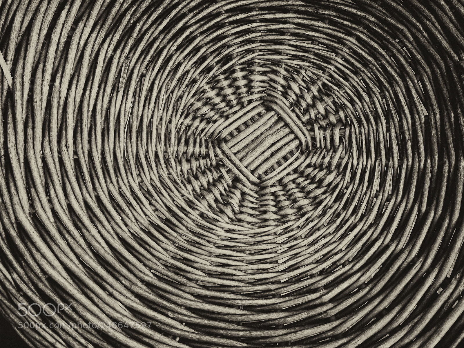 Olympus OM-D E-M1 Mark II sample photo. Woven willow photography