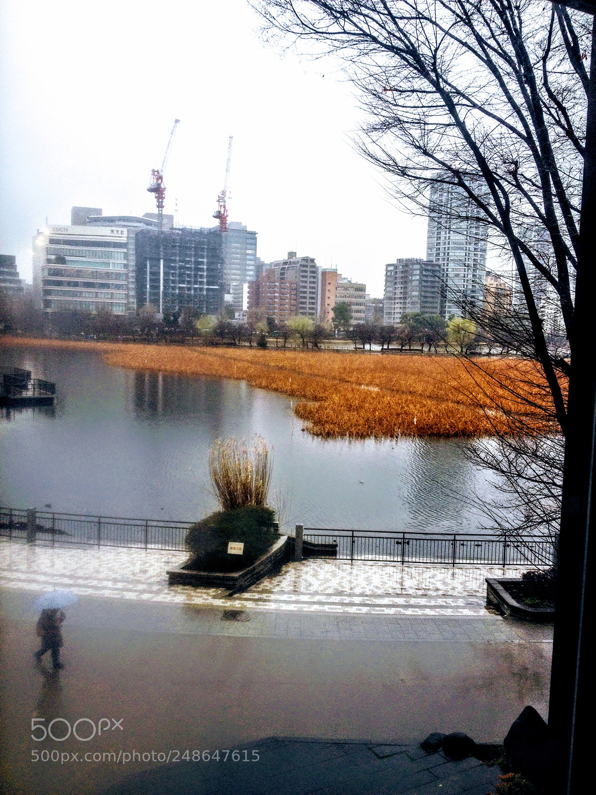 Apple iPhone 4S sample photo. Tokyo photography