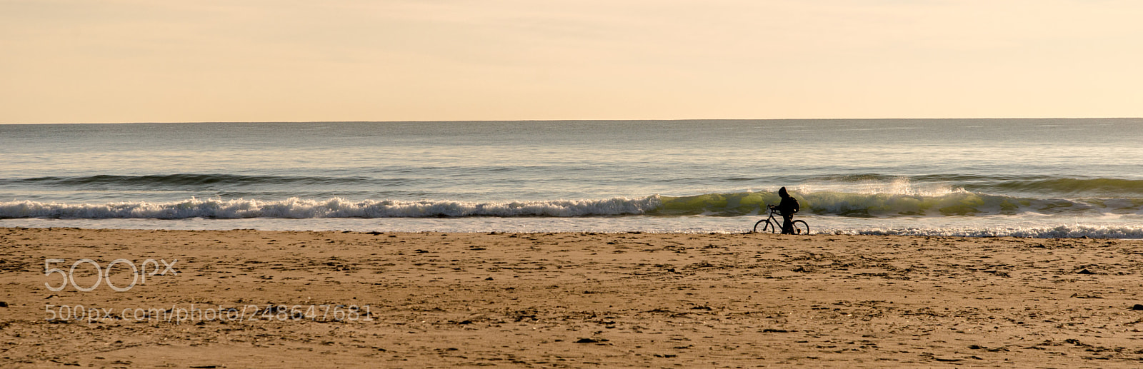 Nikon D610 sample photo. Walking a bike photography