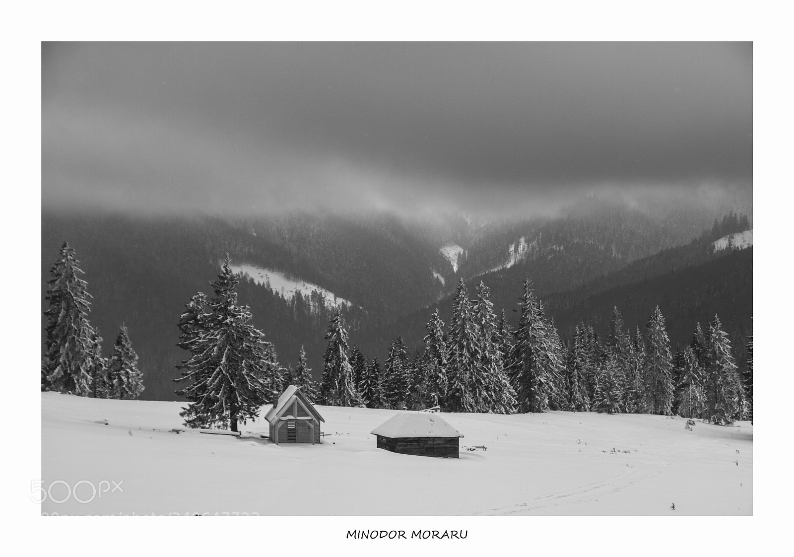 Canon EOS 7D sample photo. The sound of silence photography