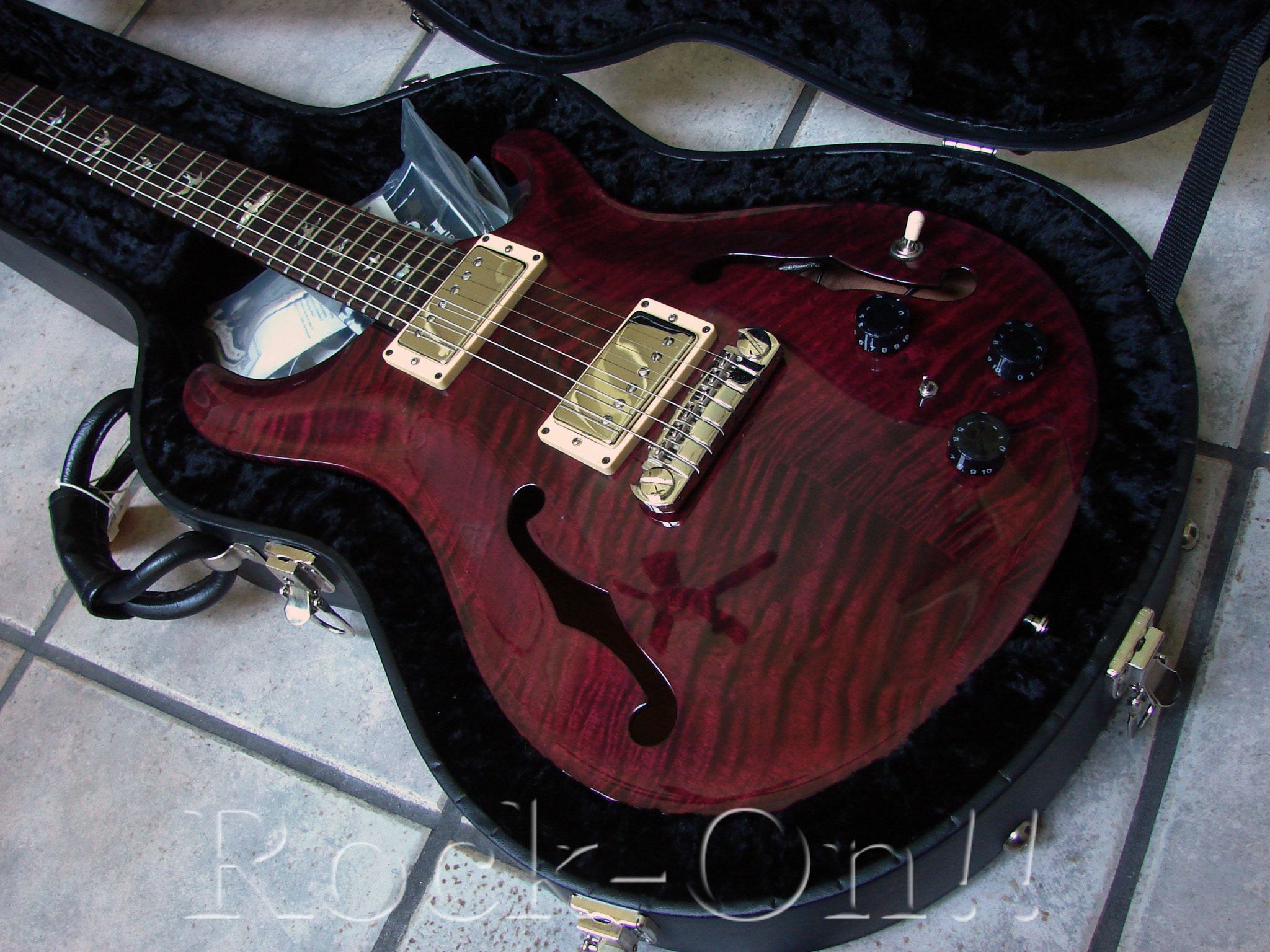 Sony DSC-H2 sample photo. Prs hollowbody i piezo photography