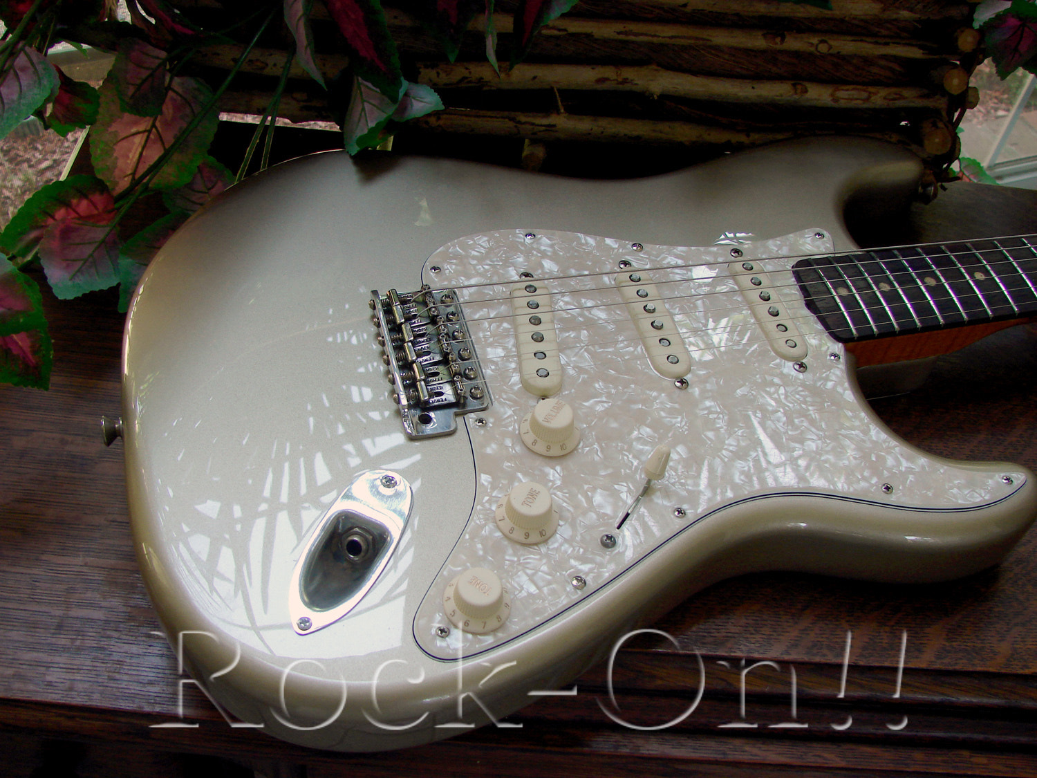 Sony DSC-H2 sample photo. Shorelie gold strat photography