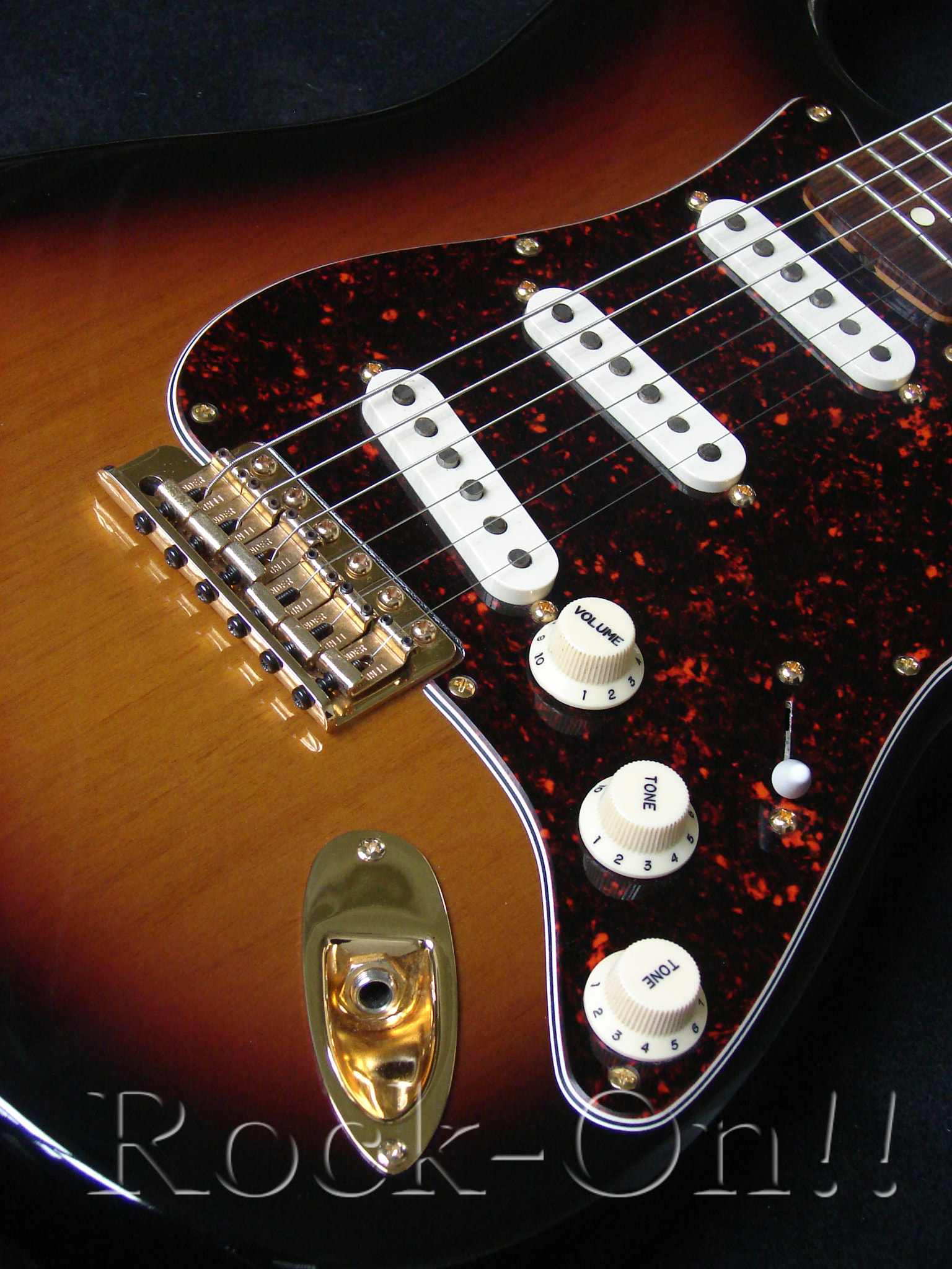 Sony DSC-H2 sample photo. Srv stratocaster photography