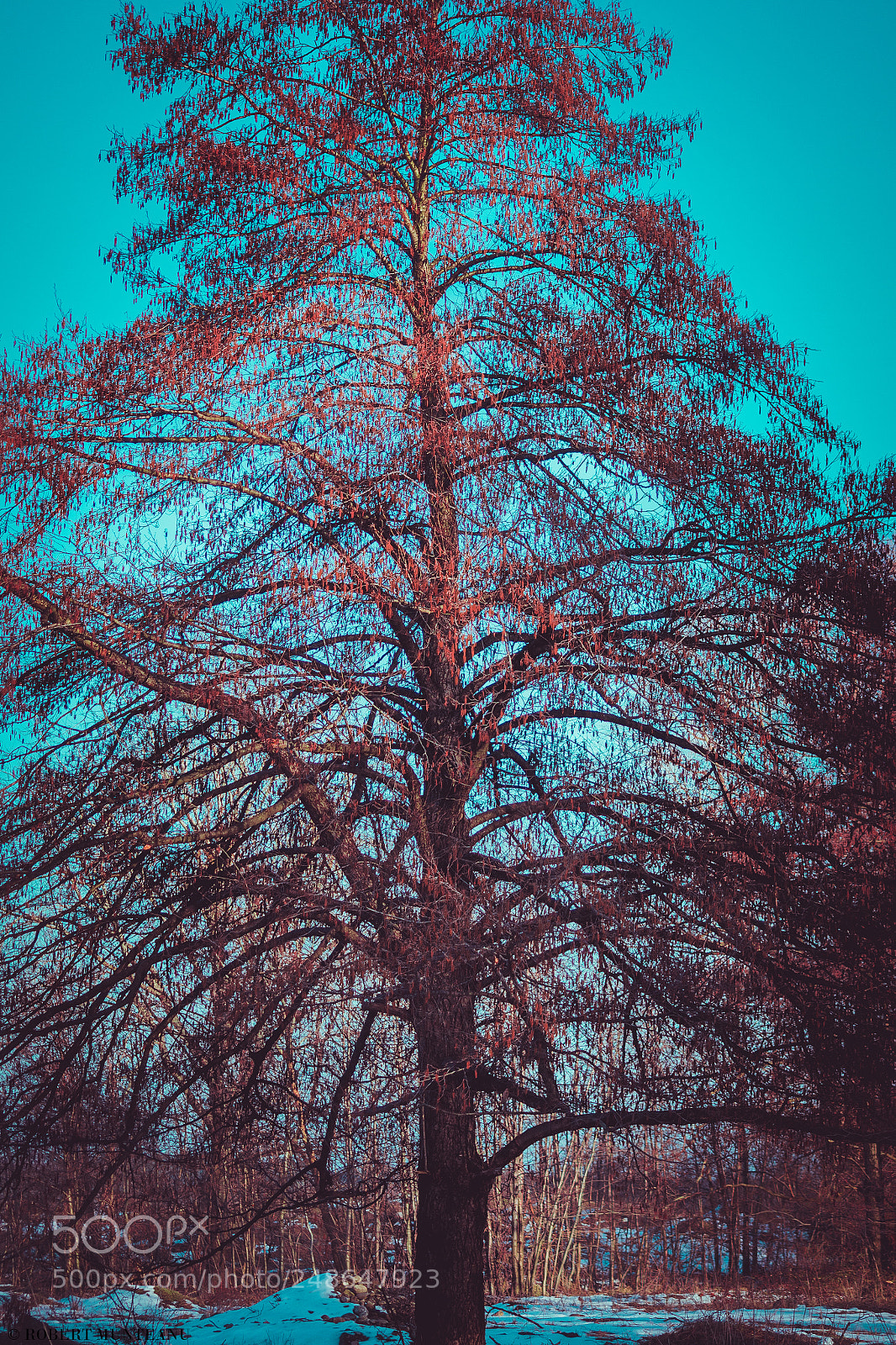 Nikon D3100 sample photo. Untitled photography