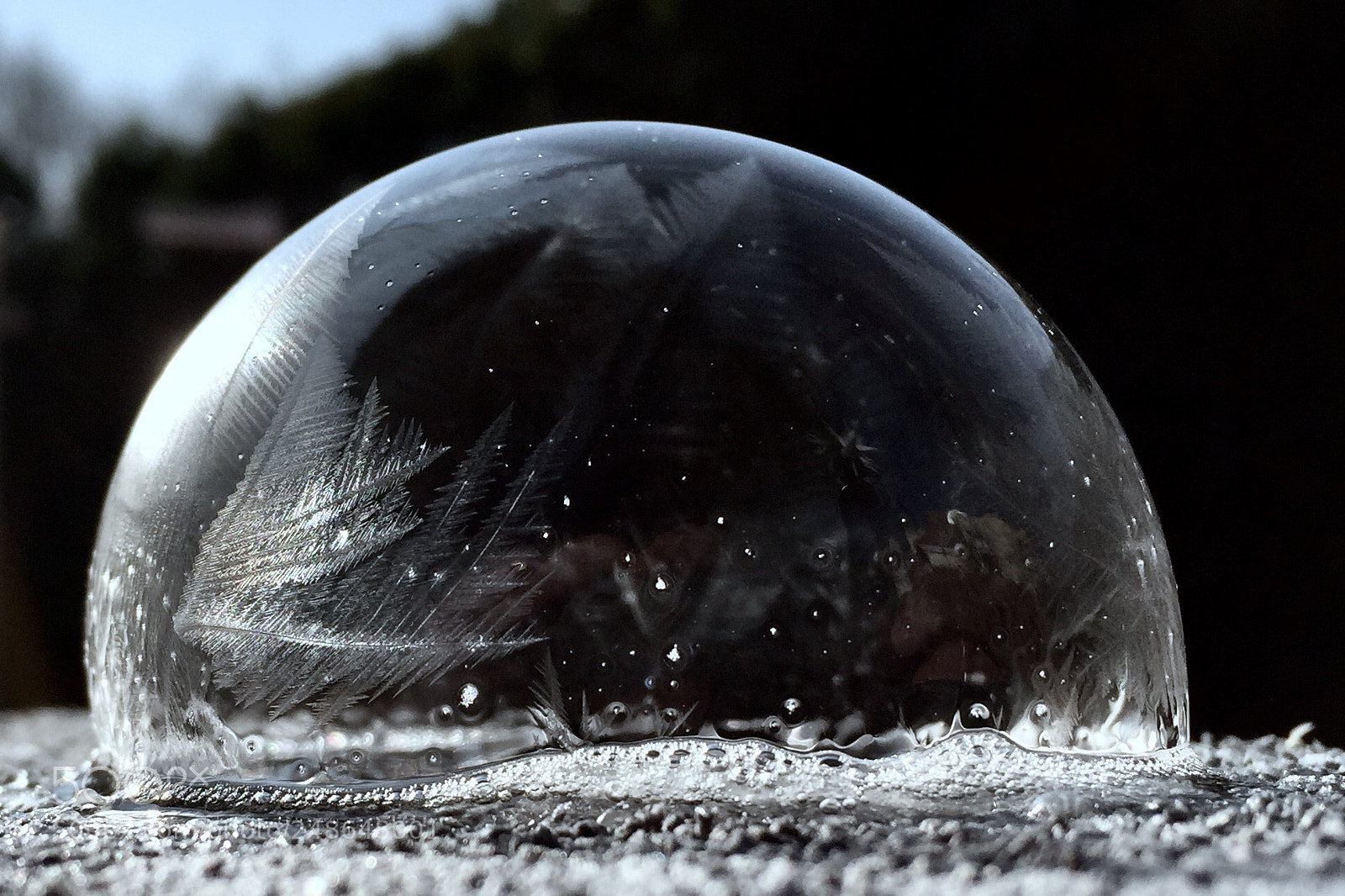 Apple iPhone 6 sample photo. Winter bubble photography