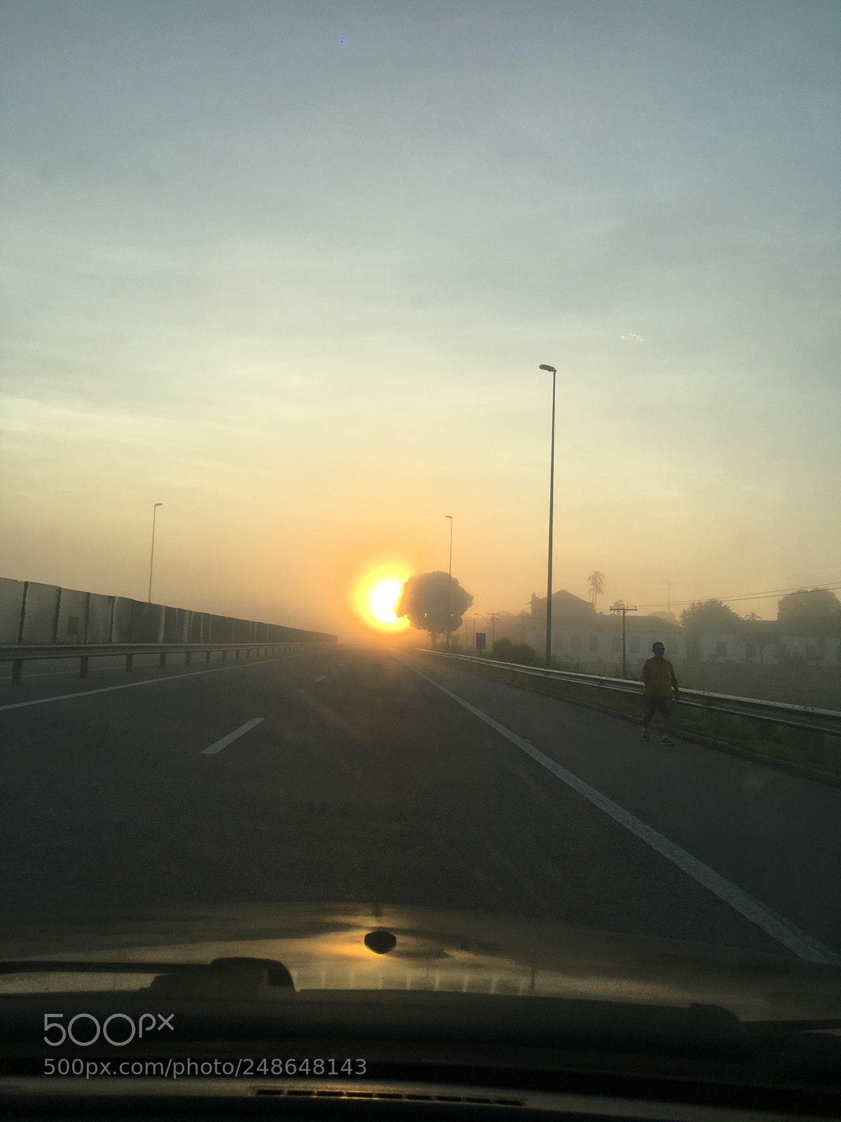 Apple iPhone 6s Plus sample photo. Untitled photography