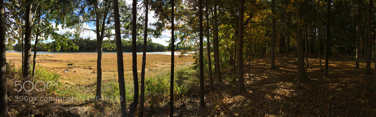 Apple iPhone 5s sample photo. Oyster river, fall impression photography