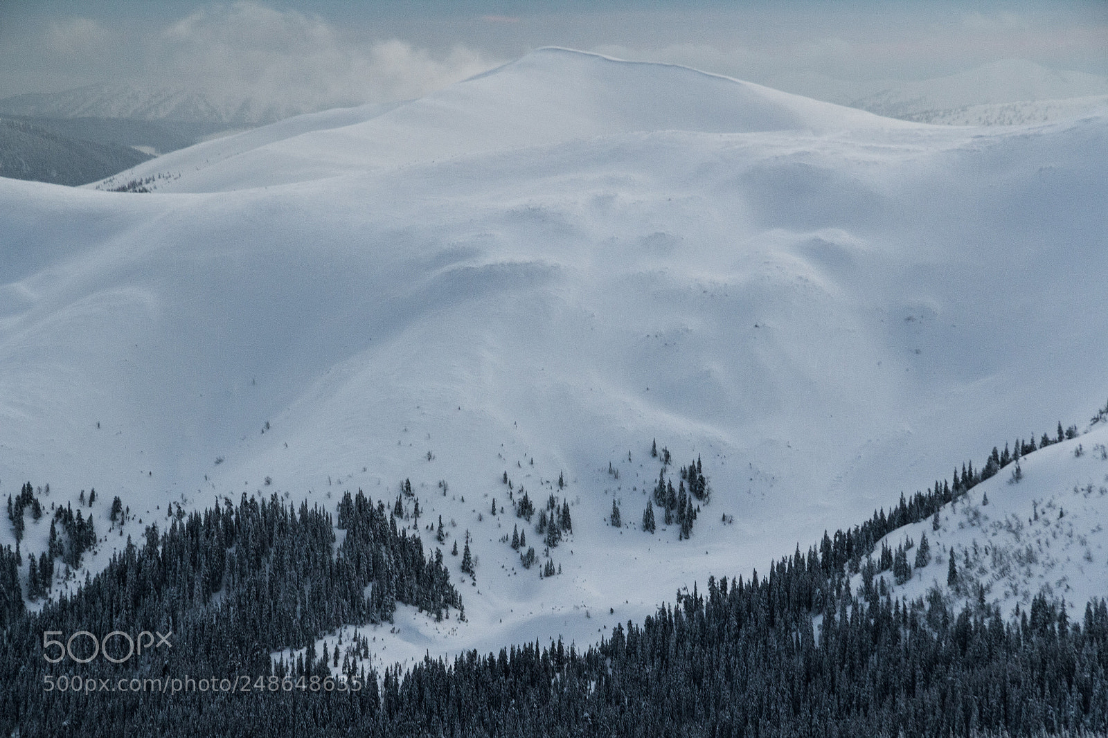 Canon EOS 60D sample photo. Body of snow photography