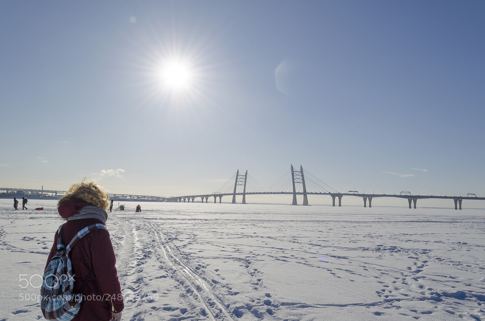 Nikon D5100 sample photo. Bridge photography