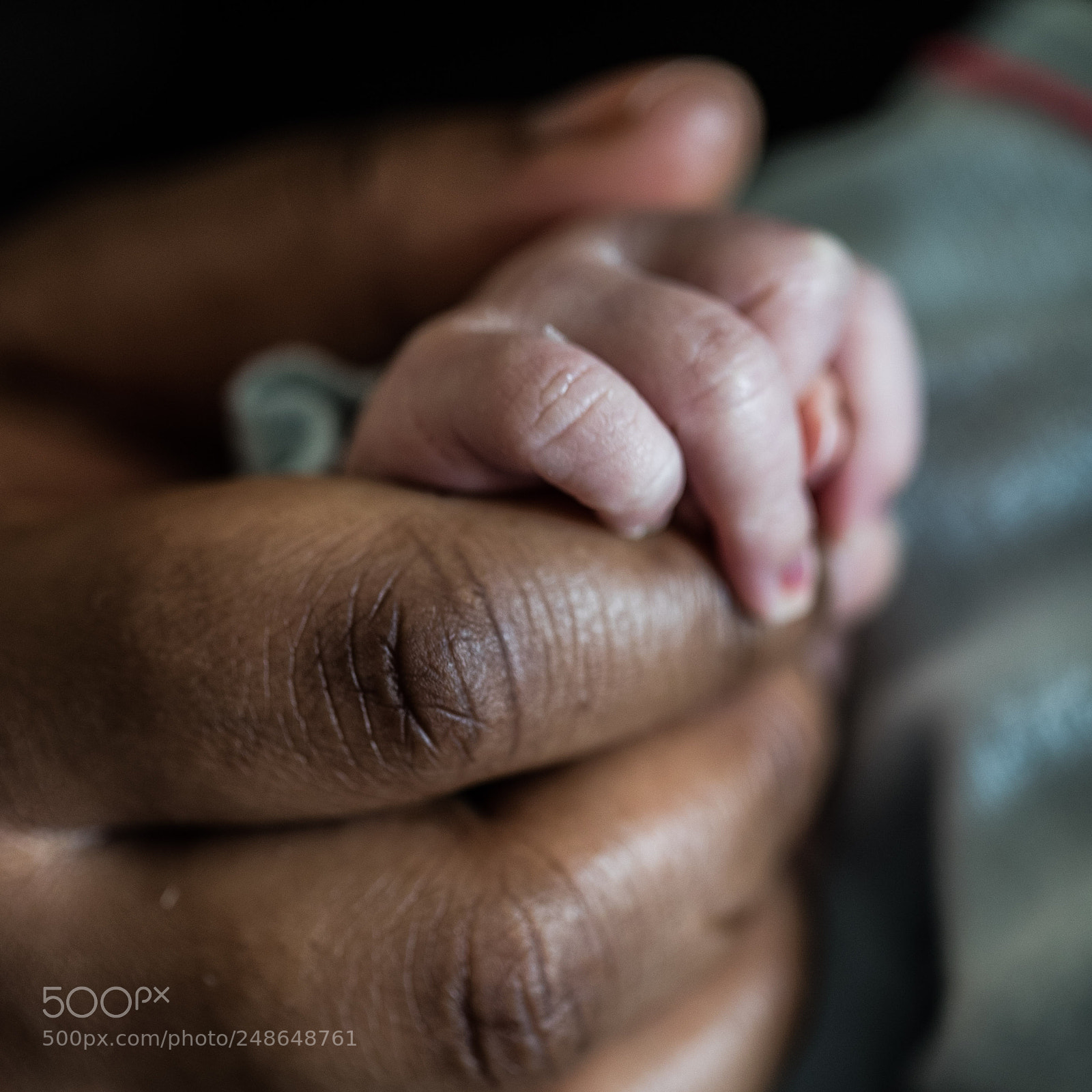 Canon EOS-1D X Mark II sample photo. Fragile photography