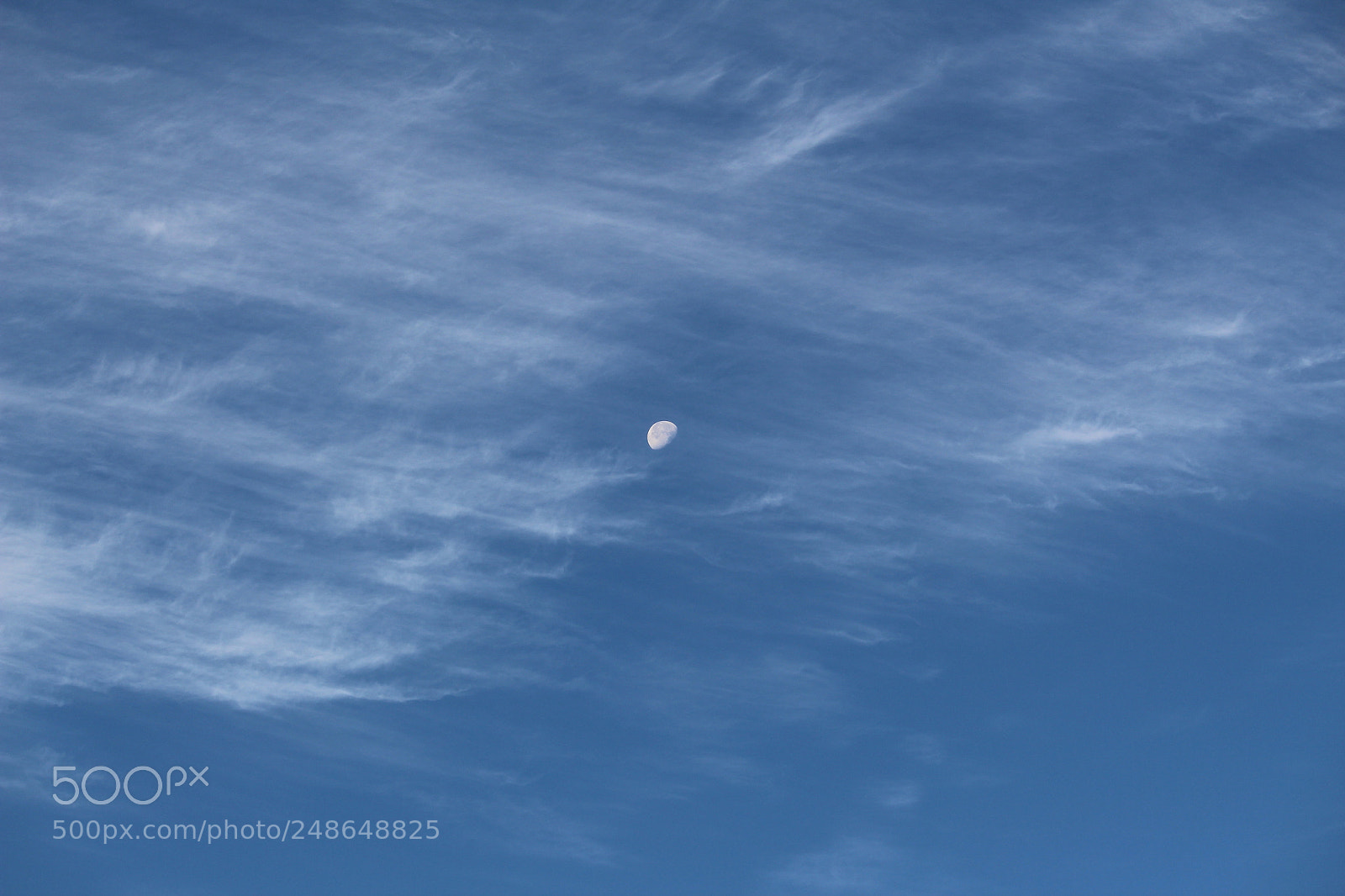 Canon EOS 1300D (EOS Rebel T6 / EOS Kiss X80) sample photo. Early morning moon photography