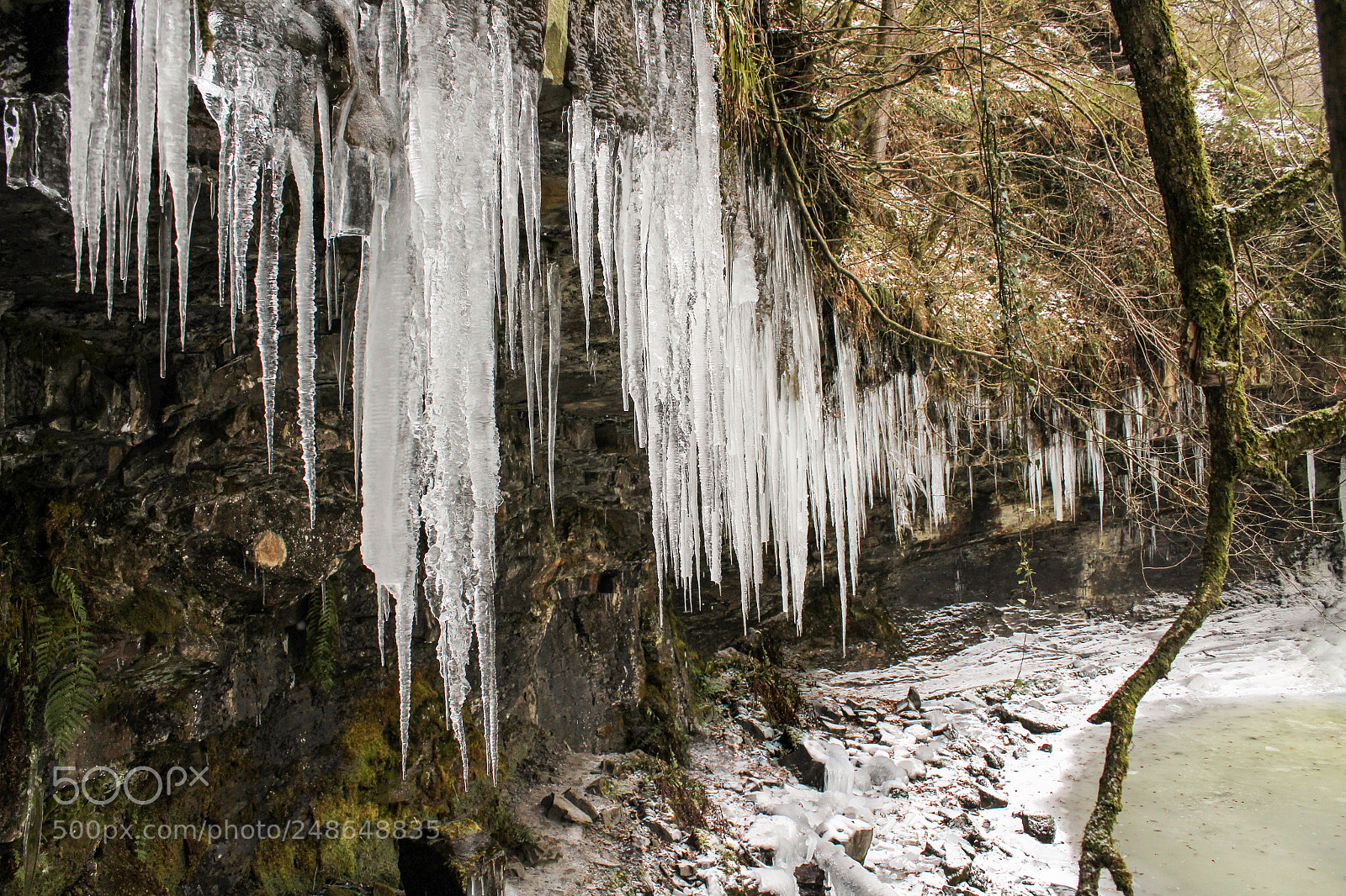 Canon EOS 1300D (EOS Rebel T6 / EOS Kiss X80) sample photo. Icicles photography