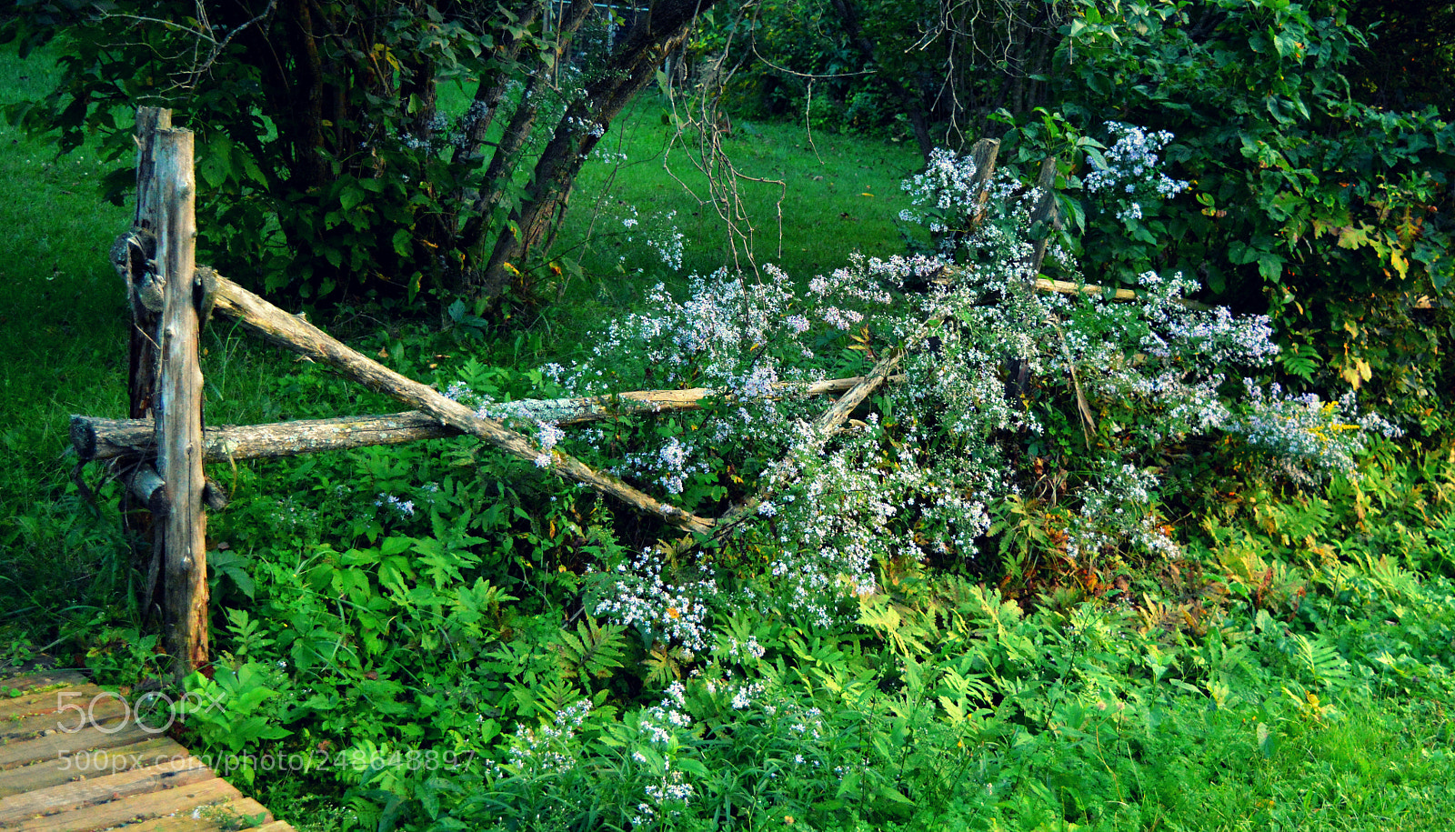 Nikon D3200 sample photo. Channeling wordsworth photography