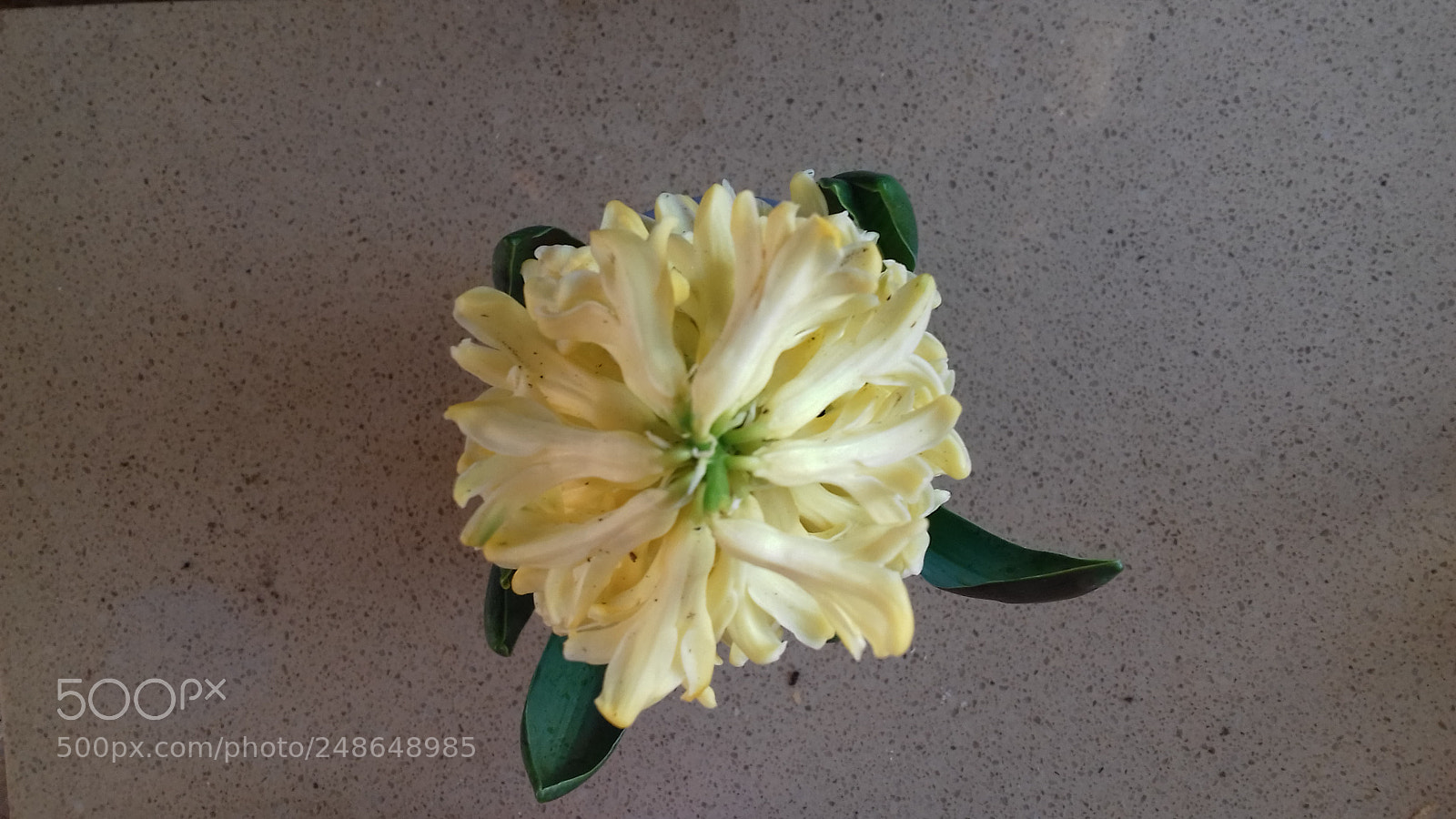 Samsung Galaxy J3(2016) sample photo. Untitled photography
