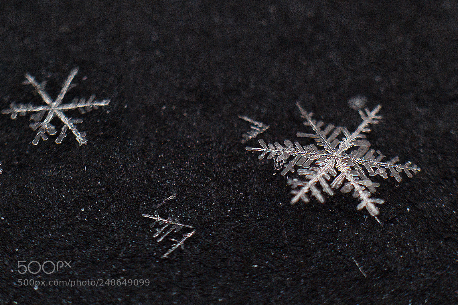 Canon EOS 60D sample photo. Snowflake photography