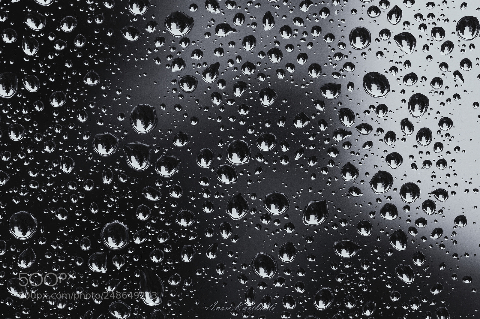 Nikon D90 sample photo. Drops photography