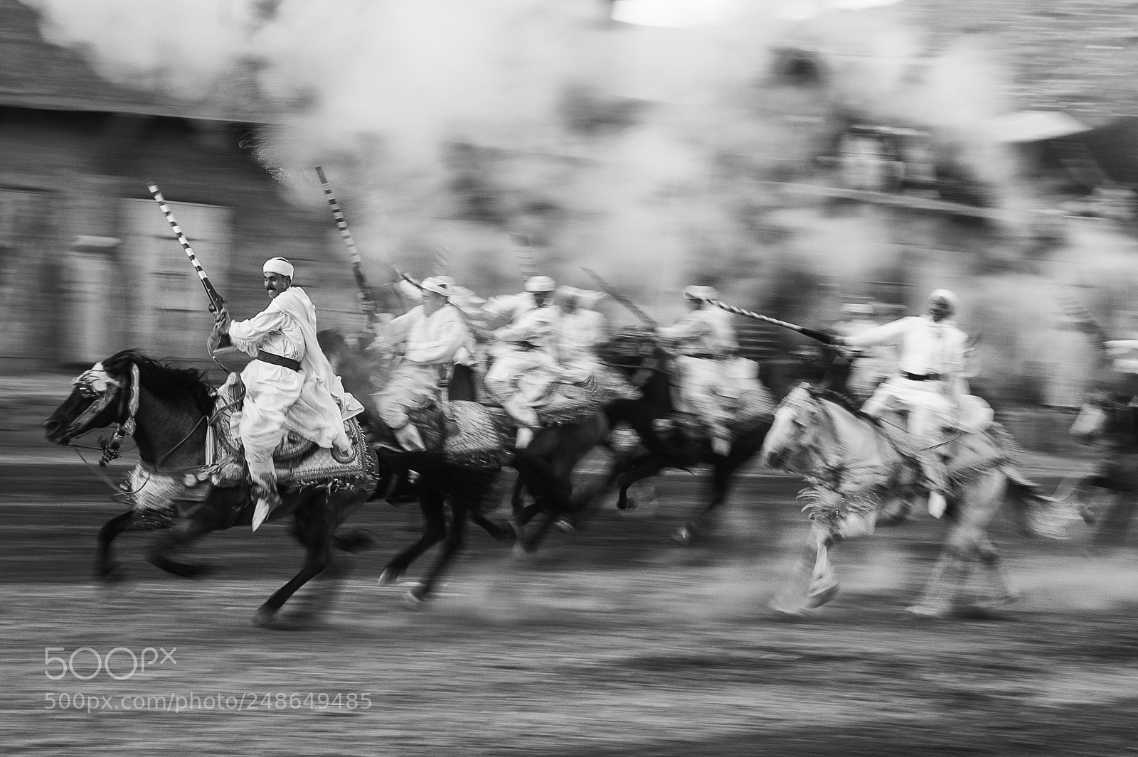 Nikon D700 sample photo. Horses in motion photography