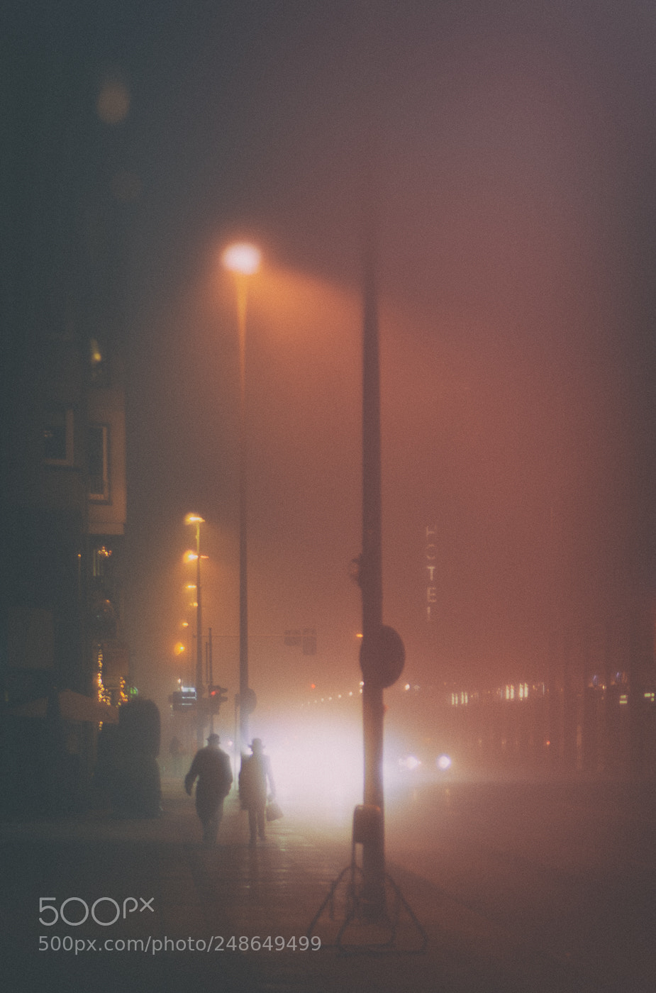 Nikon D800 sample photo. Spies in the mist...? photography