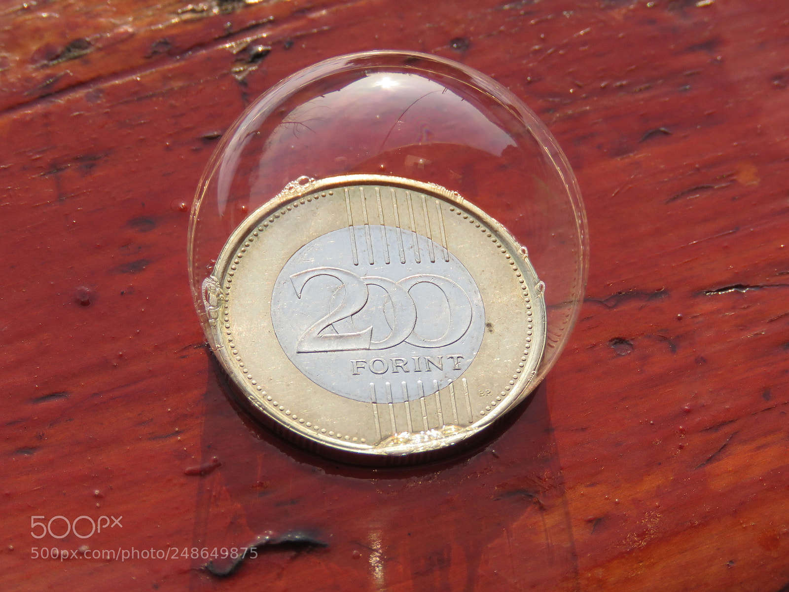 Canon PowerShot SX60 HS sample photo. Bubble photography
