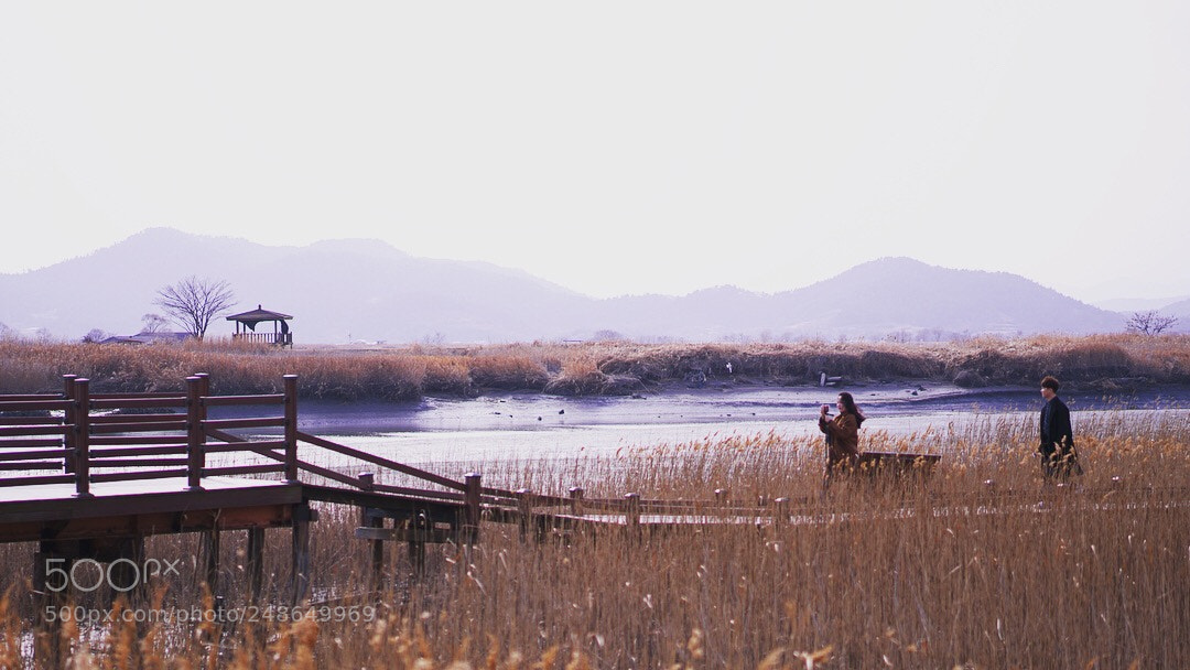 Sony a6300 sample photo. #korea photography