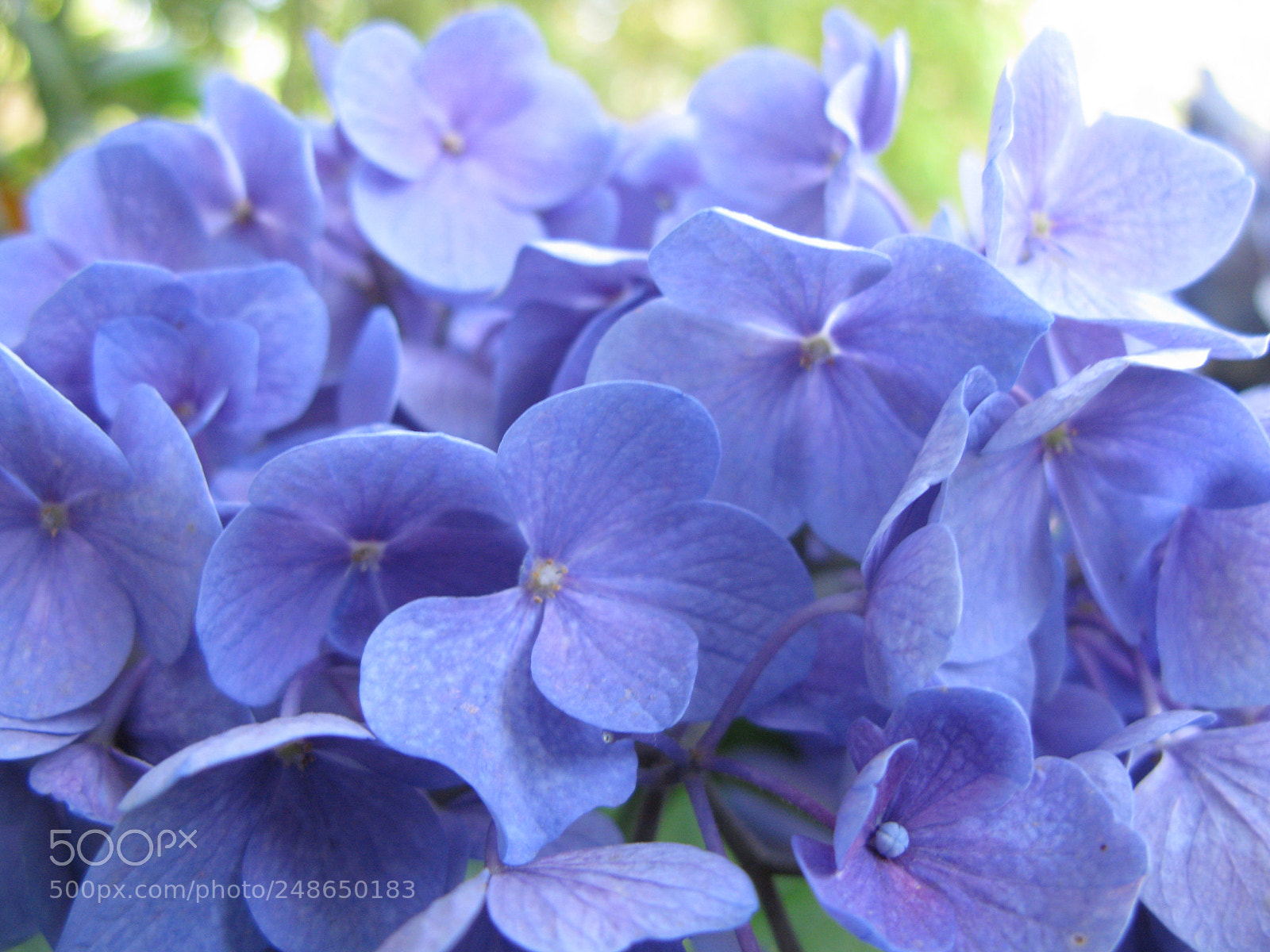 Canon POWERSHOT G9 sample photo. Img photography