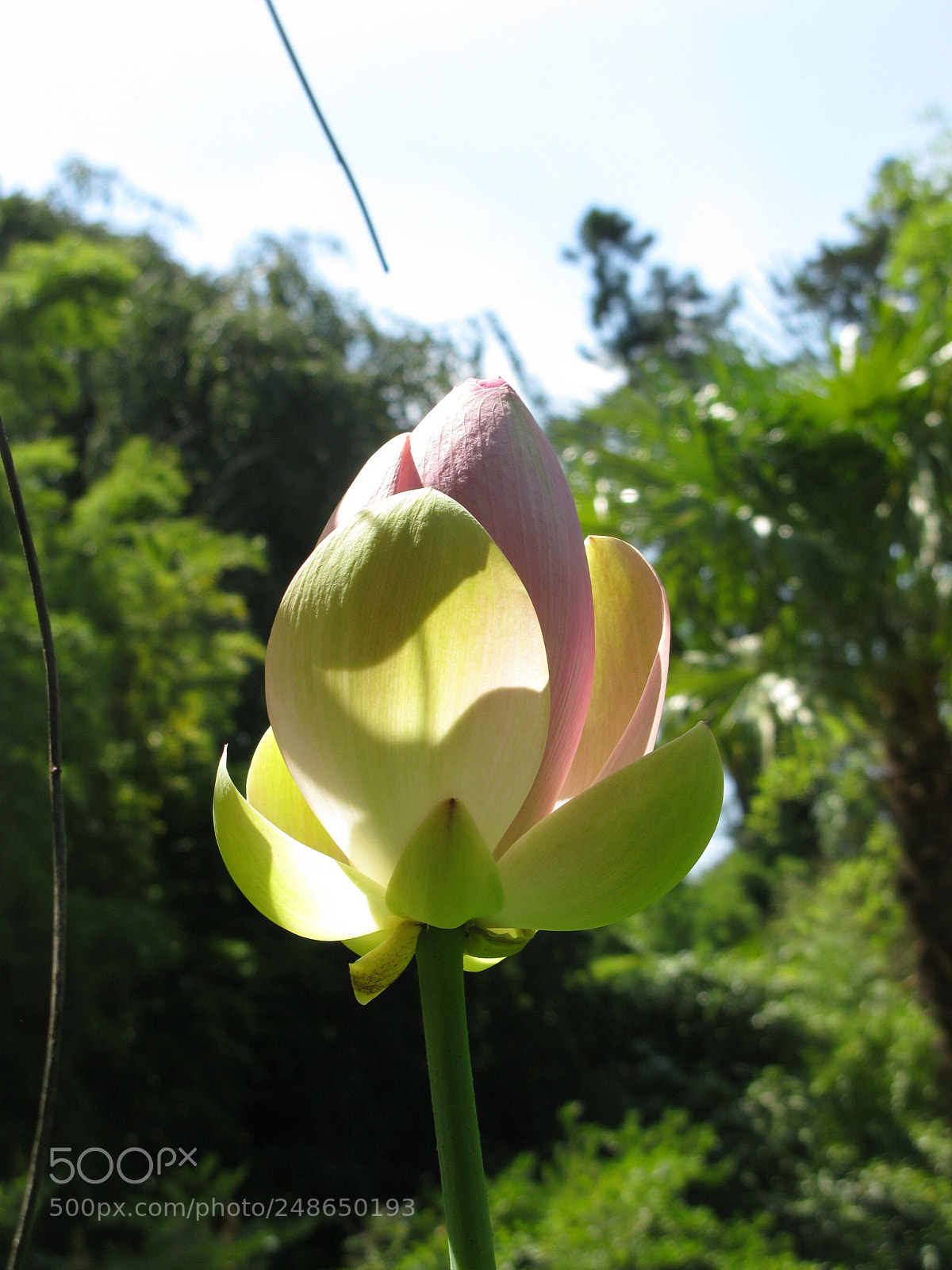 Canon POWERSHOT G9 sample photo. Img photography