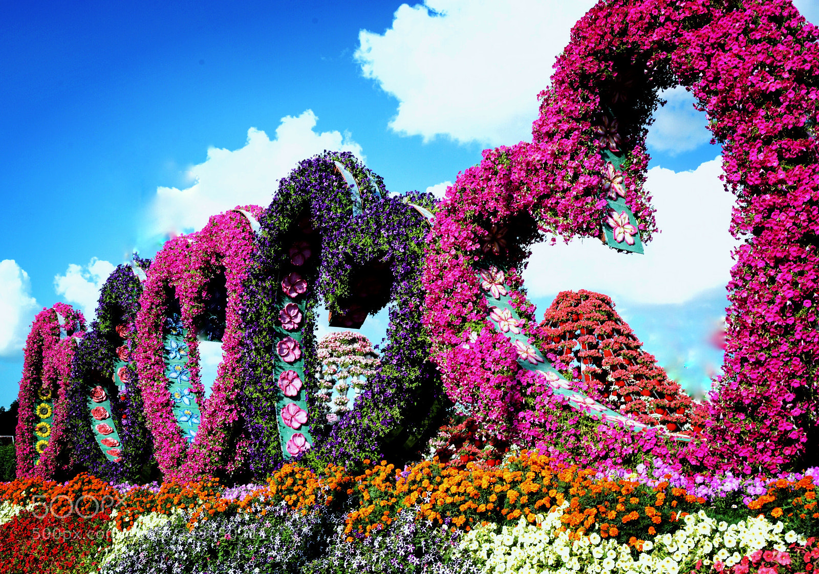 Nikon D7100 sample photo. Dubai miracle garden photography