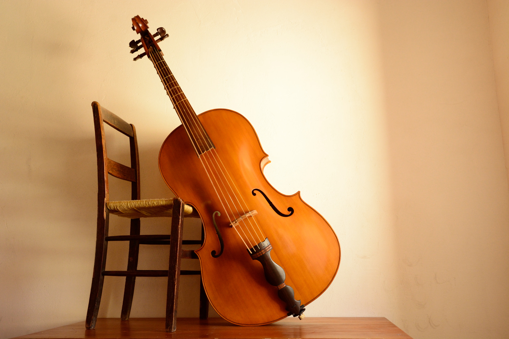 Nikon D5200 sample photo. Bass violin photography