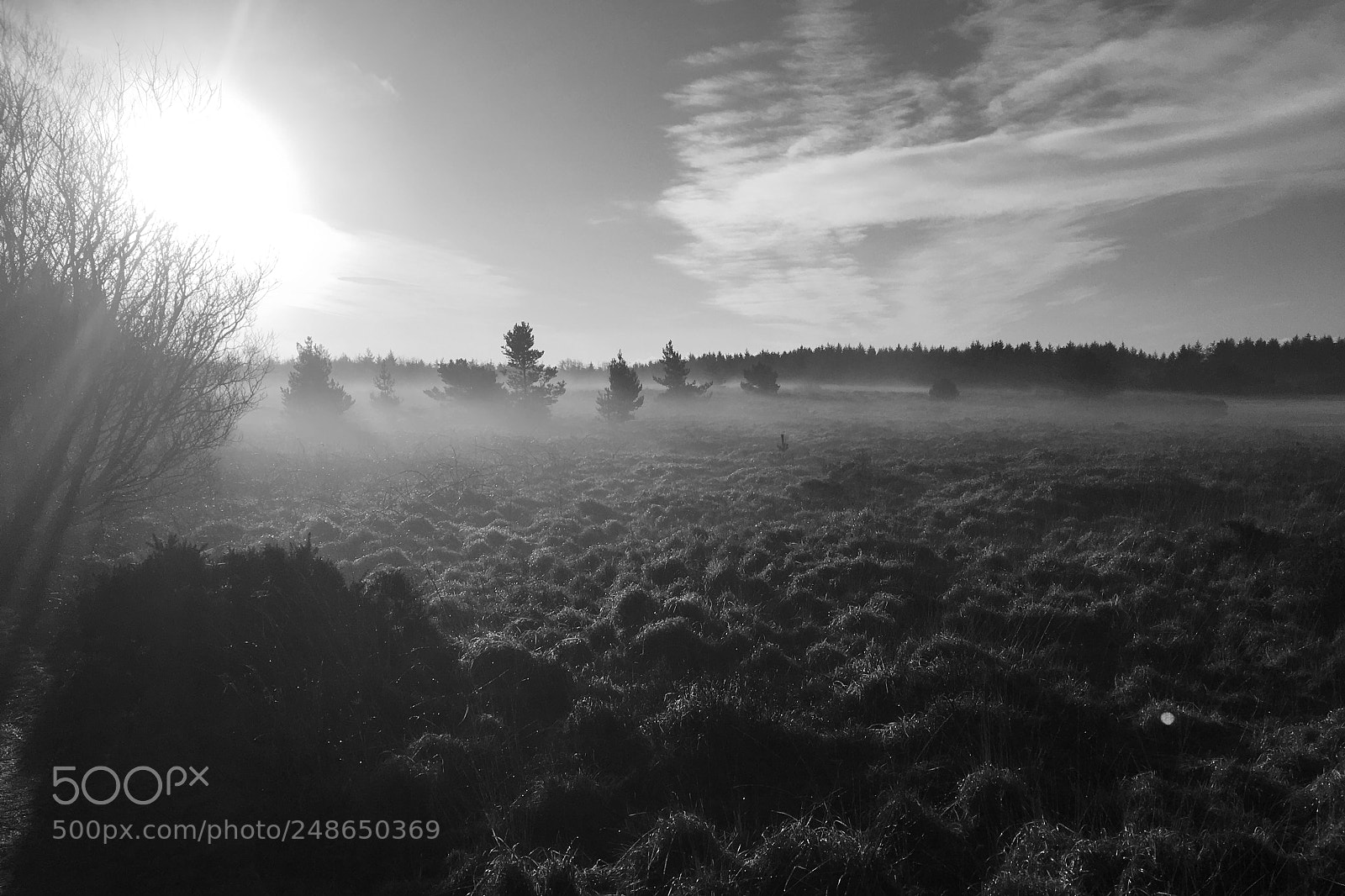 Apple iPhone 6s sample photo. Llyn llech owain photography