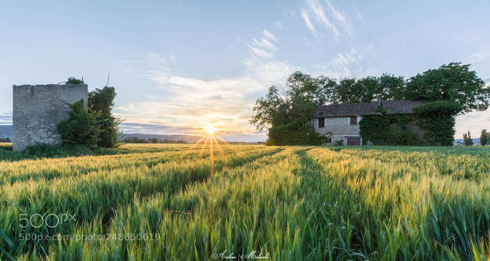 Nikon D7200 sample photo. Italian spring photography