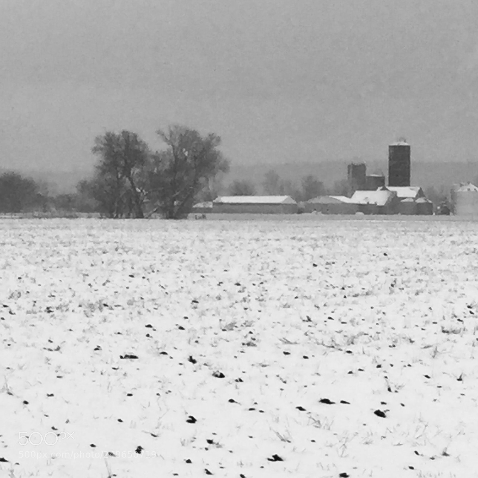 Apple iPod touch sample photo. Family farm photography