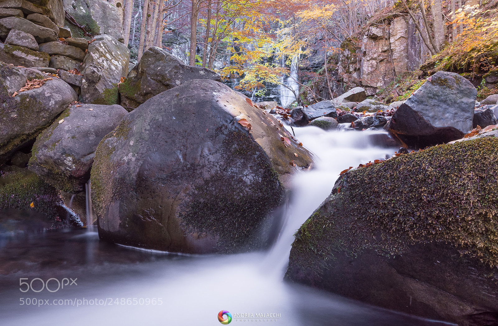 Nikon D7200 sample photo. Autumn photography