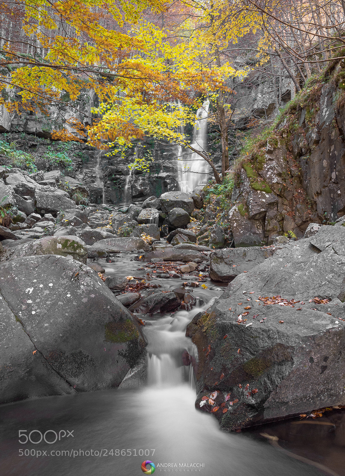 Nikon D7200 sample photo. Autumn photography