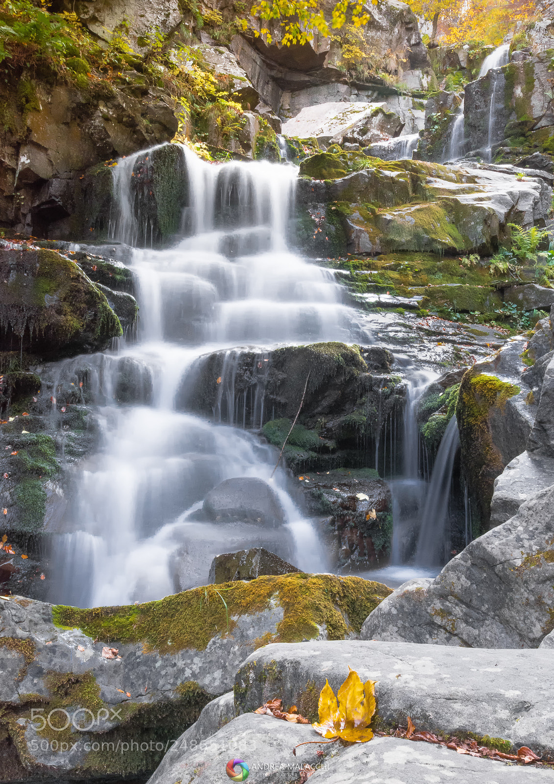 Nikon D7200 sample photo. Autumn water photography