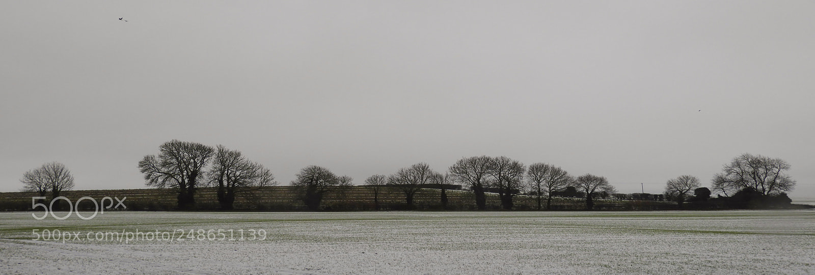 Nikon Coolpix B700 sample photo. Snowy landscape photography