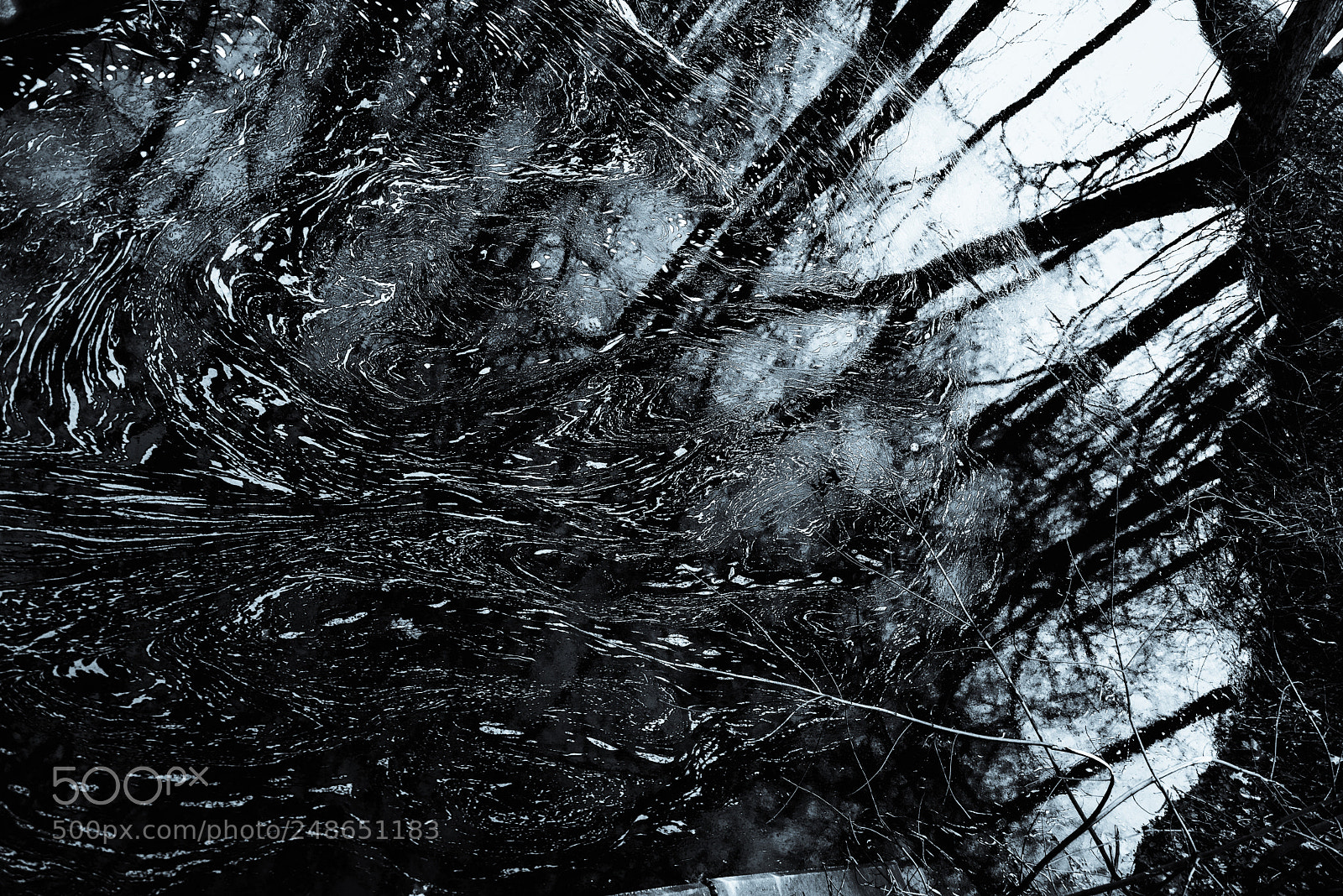 Nikon D800 sample photo. Connecticut swirl photography