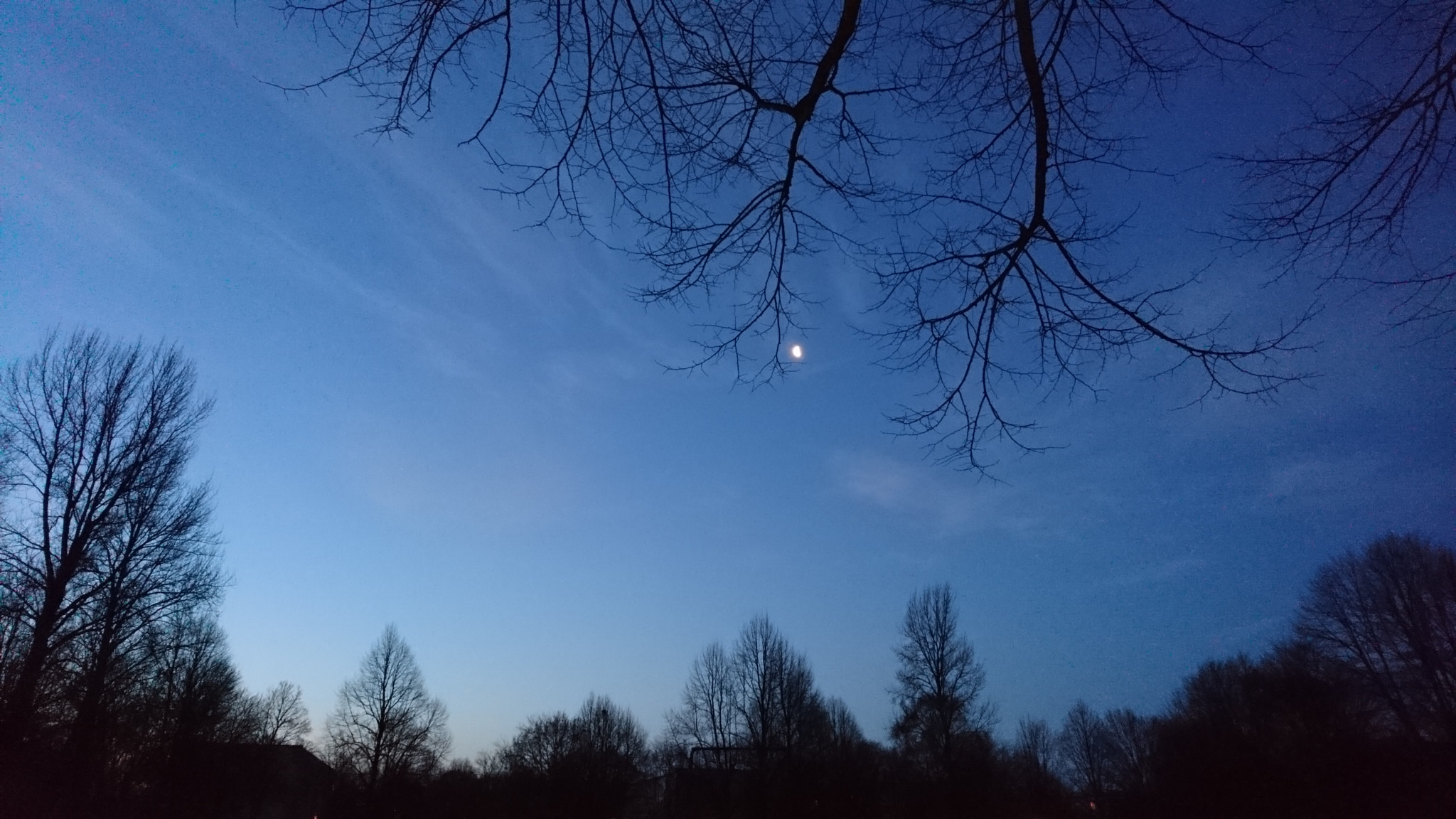 Sony Xperia X Compact sample photo. Untitled photography