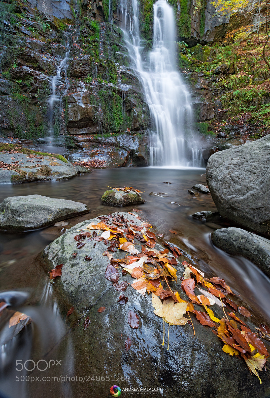 Nikon D7200 sample photo. Autumn color photography