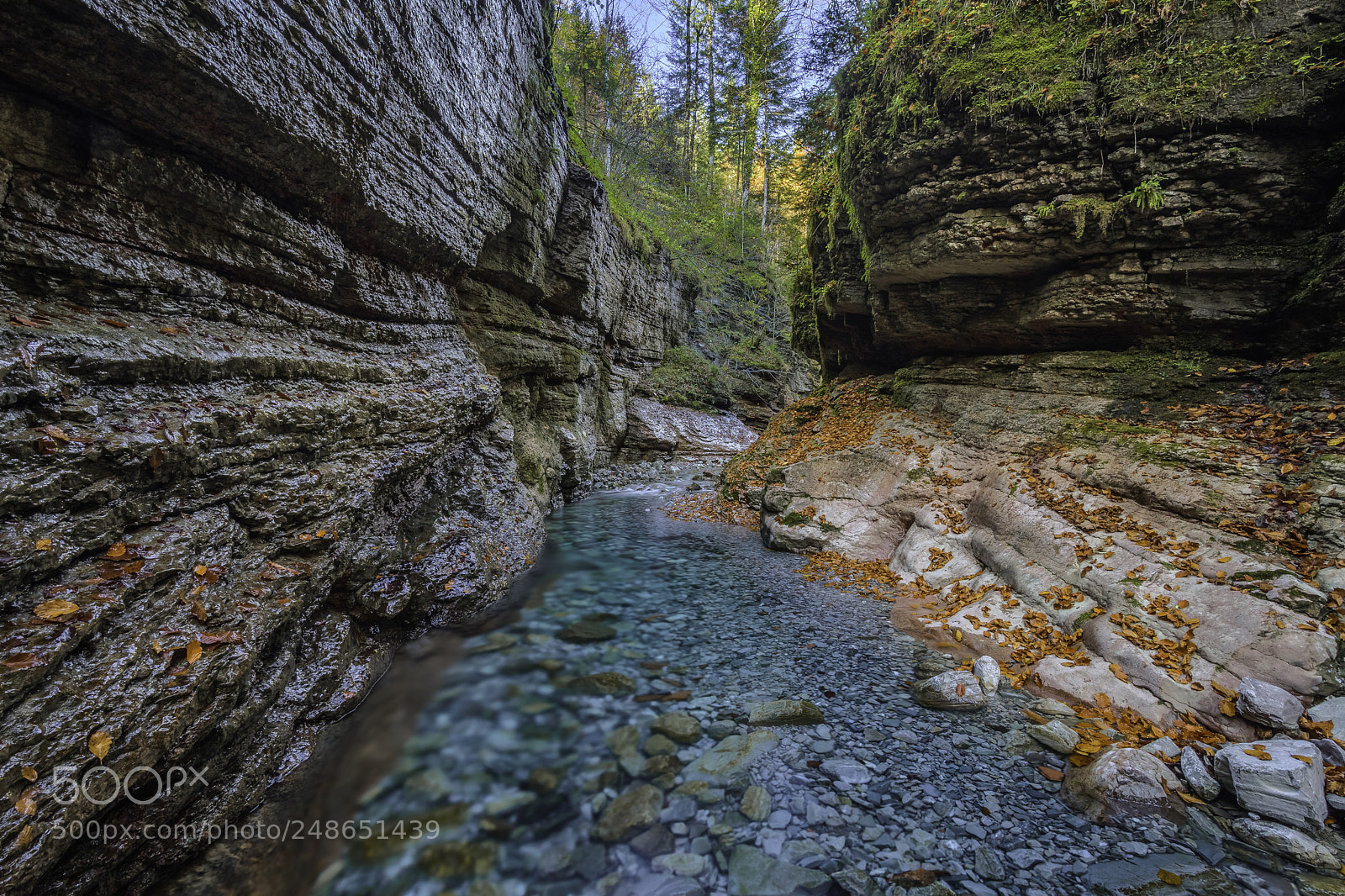 Nikon D7200 sample photo. Tauglbach photography