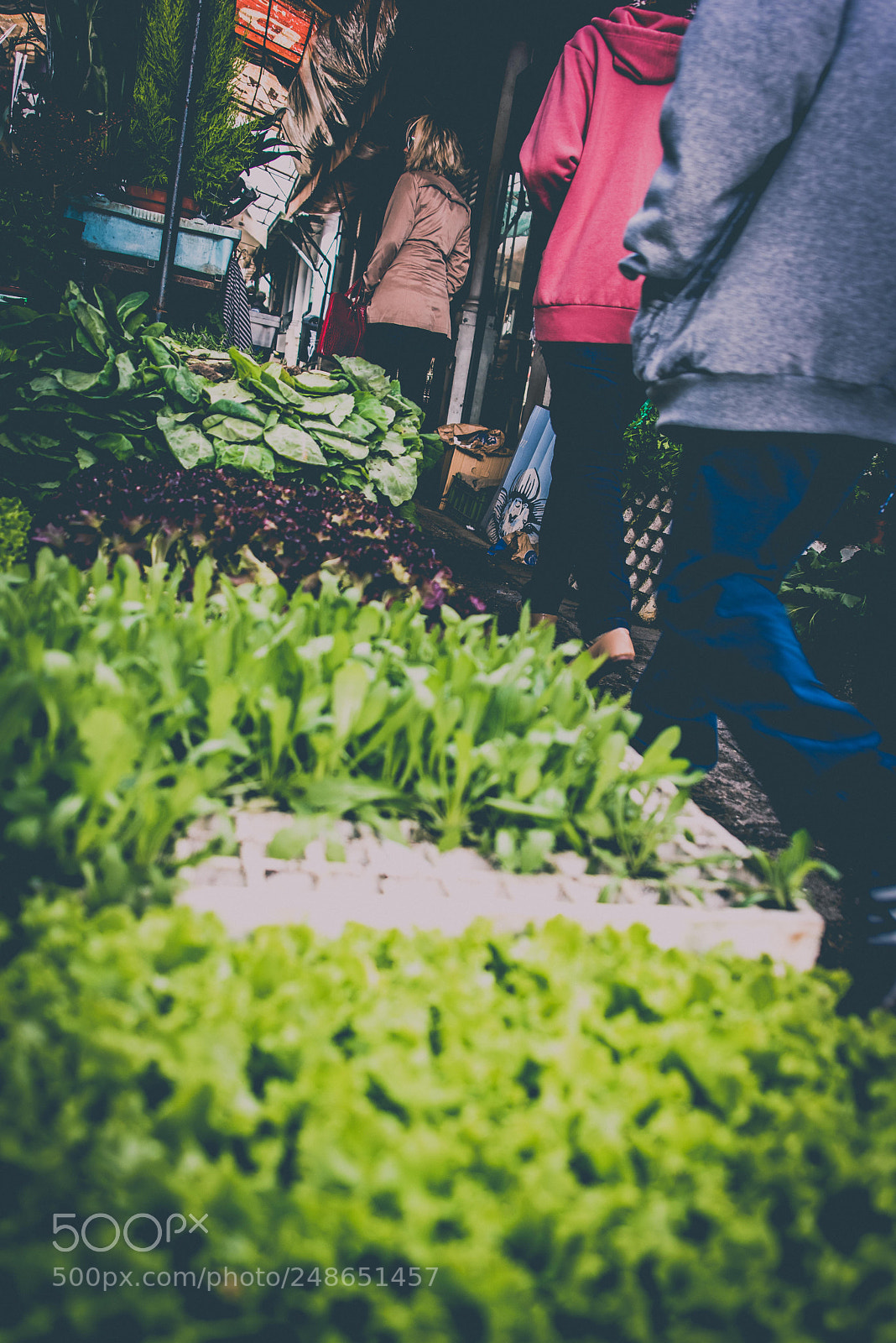 Nikon D810 sample photo. Shopping at the market photography
