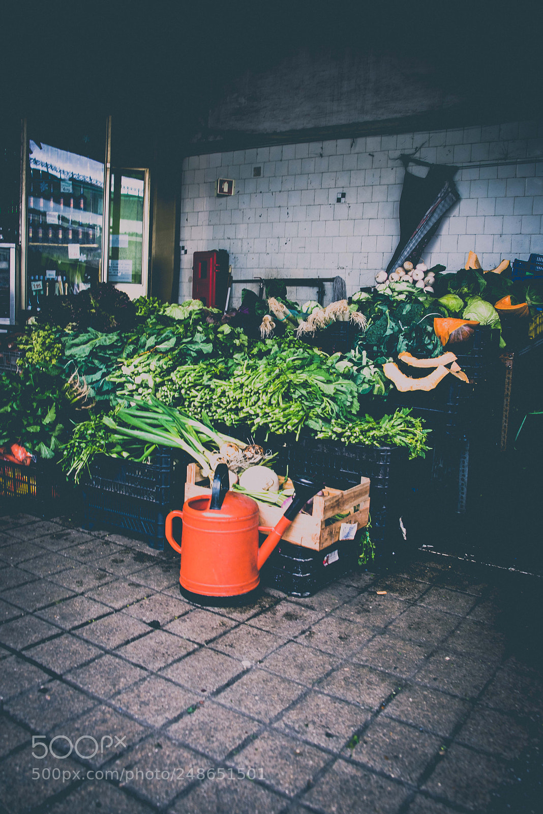 Nikon D810 sample photo. Orange watering can photography