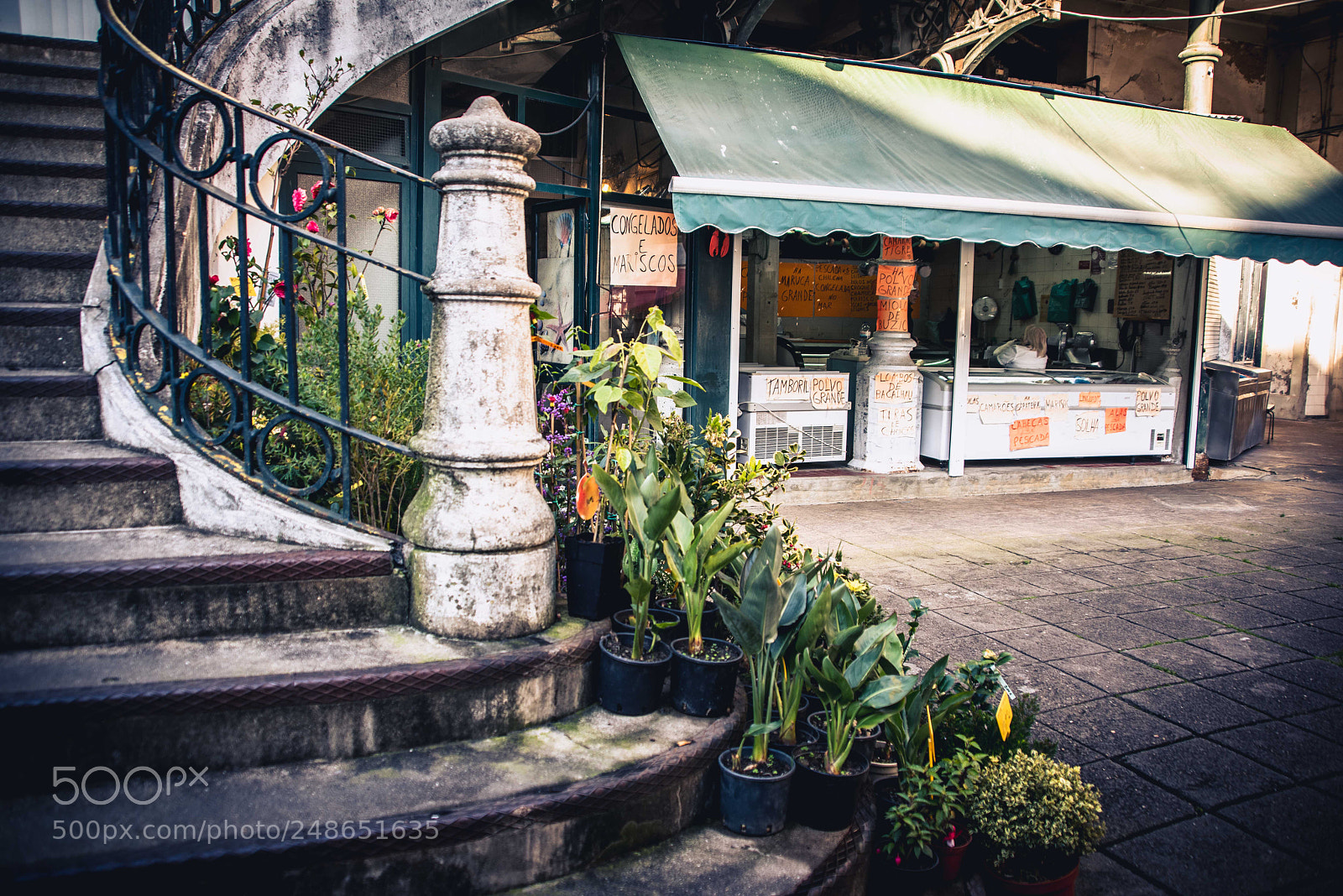 Nikon D810 sample photo. Plants by the stairs photography