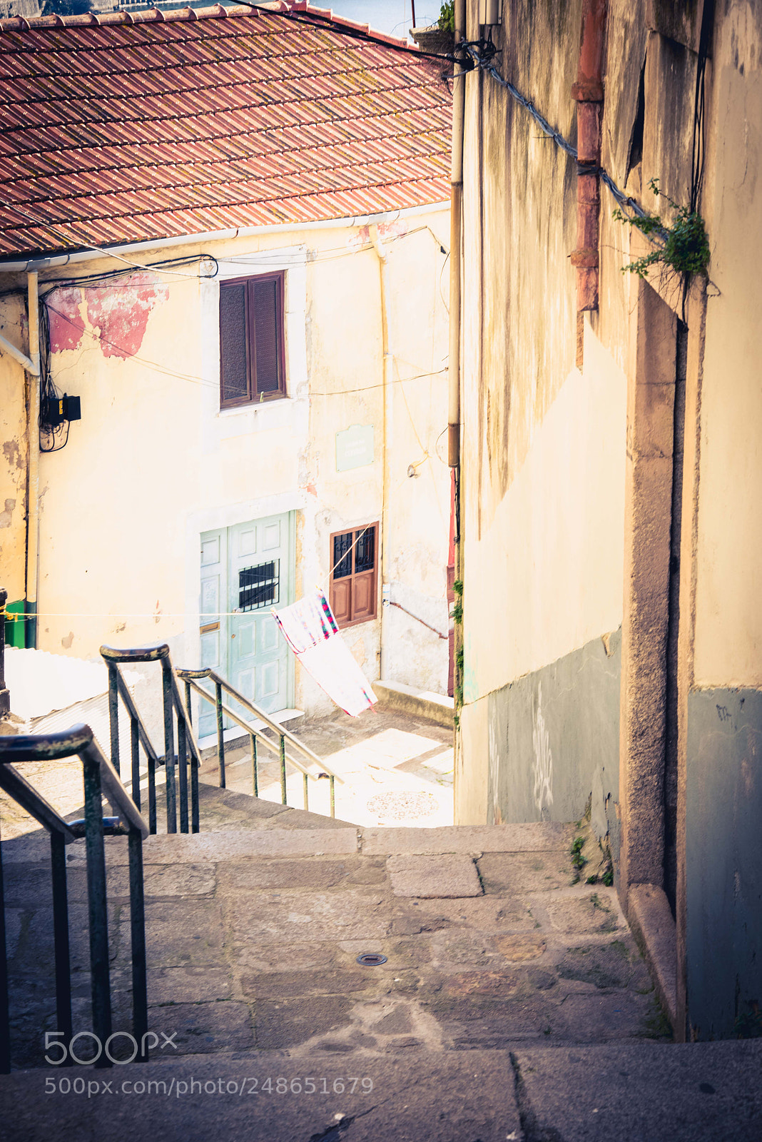 Nikon D810 sample photo. Path down photography