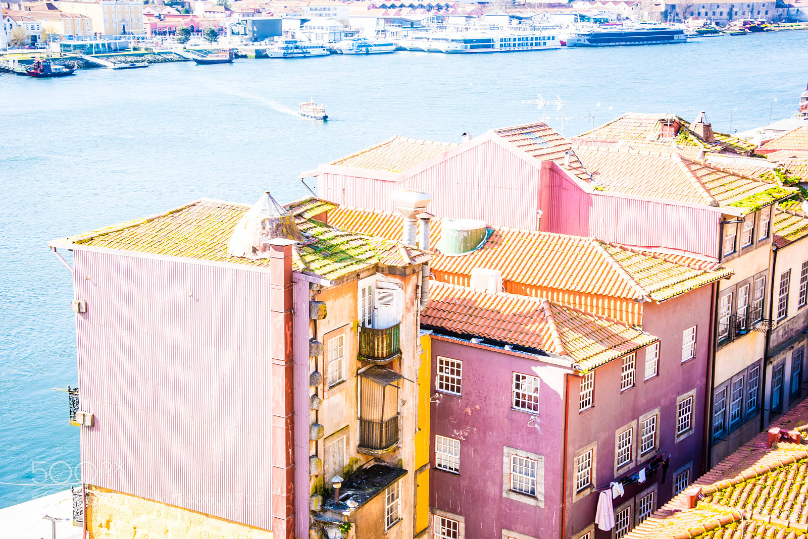Nikon D810 sample photo. Red and yellow photography